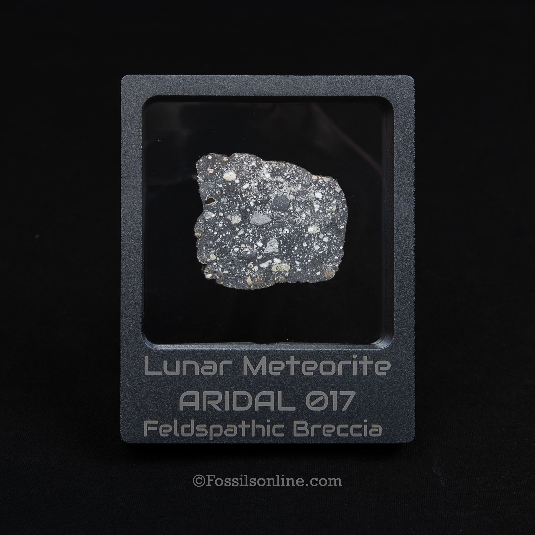 Aridal 017 Lunar Meteorite Slice 7.57GR