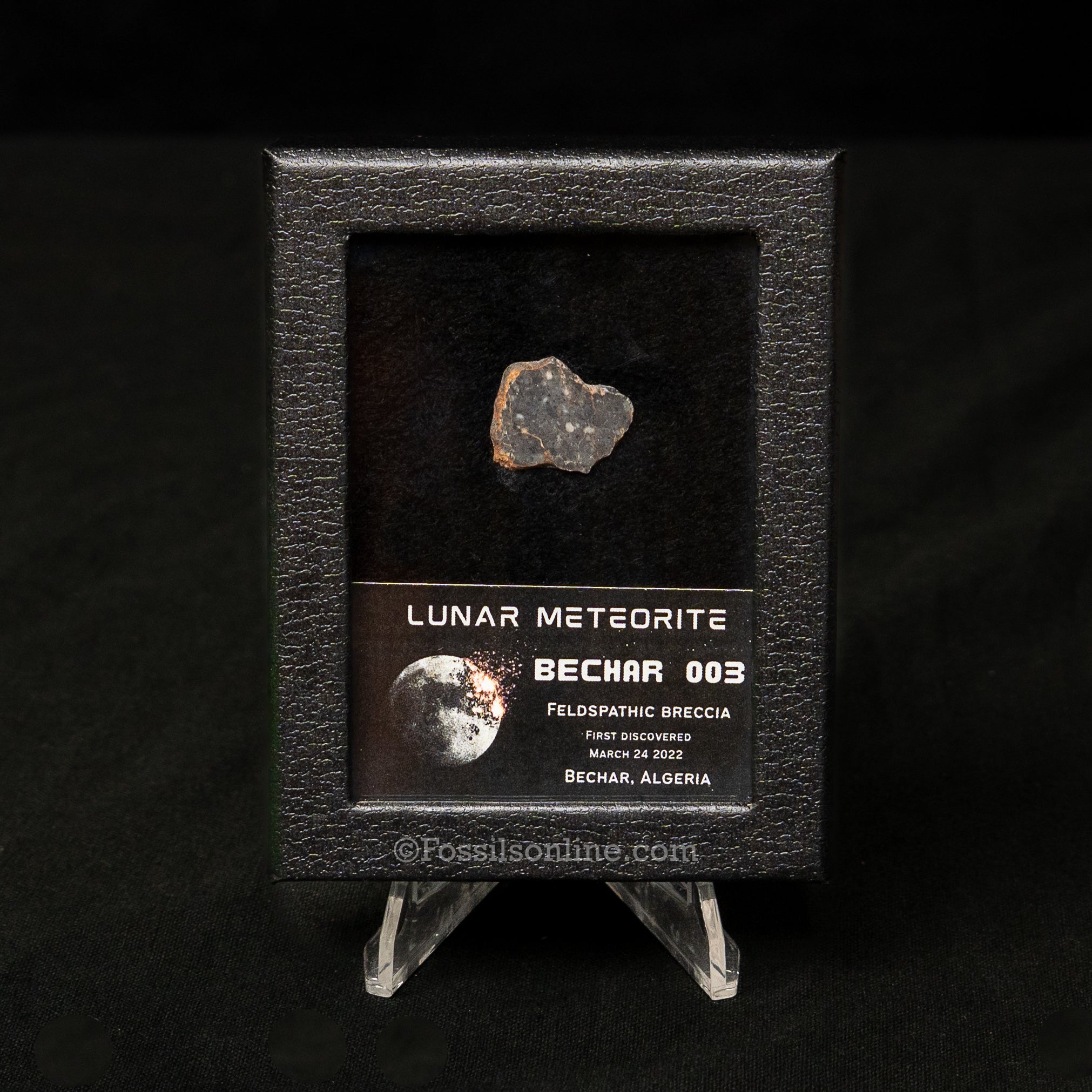 Bechar 003 Lunar Meteorite Slice
