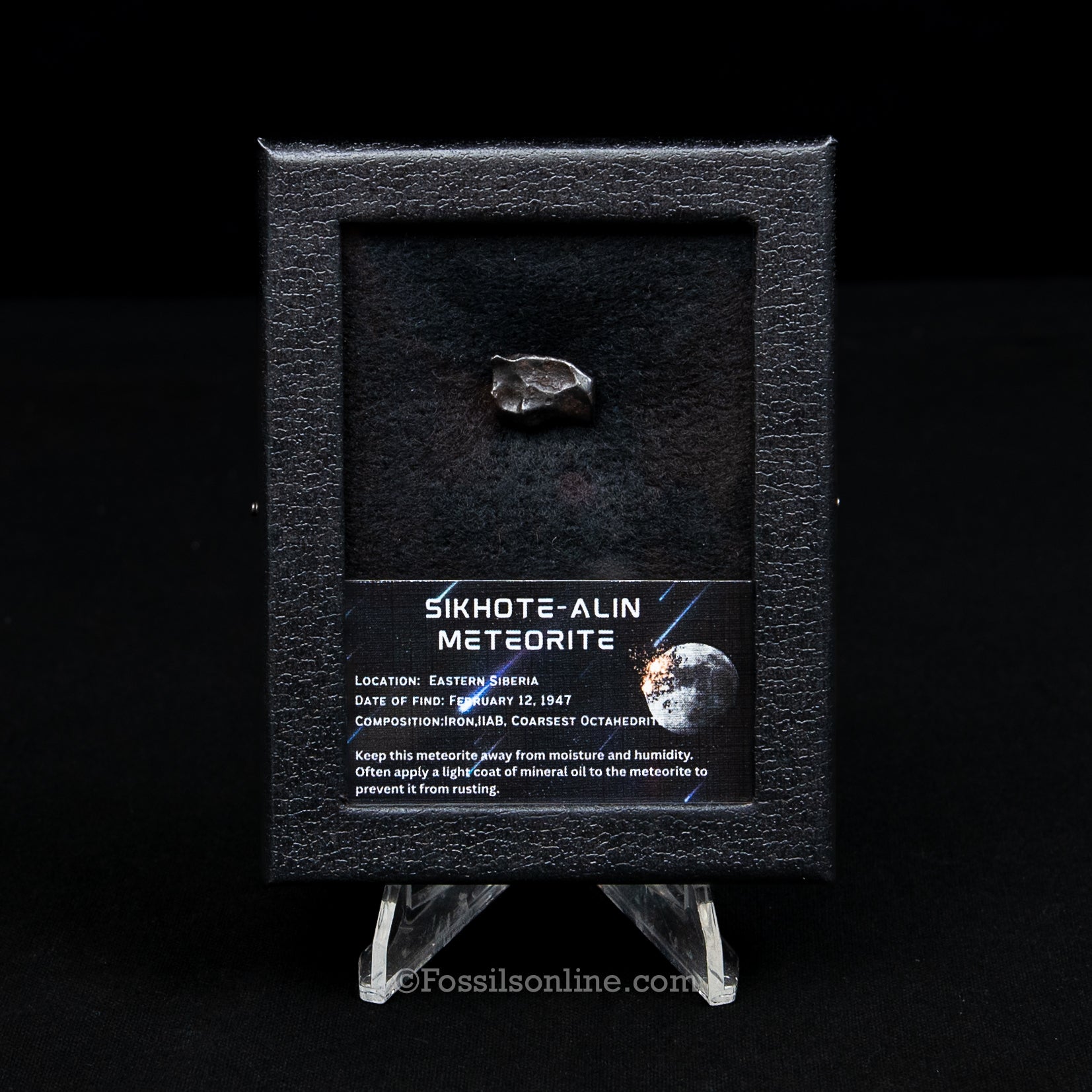 Sikhote-Alin Meteorite in a case