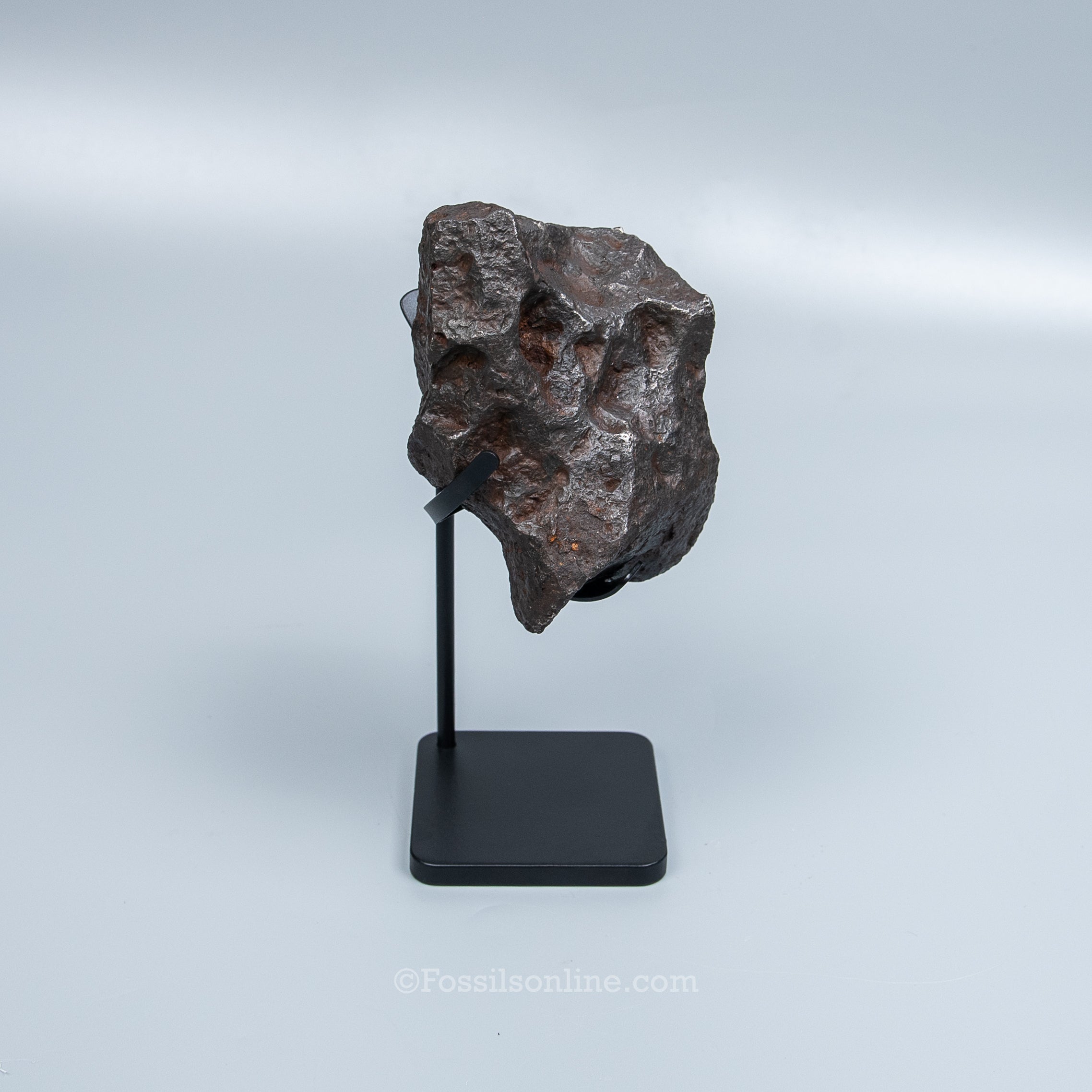 Genuine Campo del Cielo Meteorite 1410GR