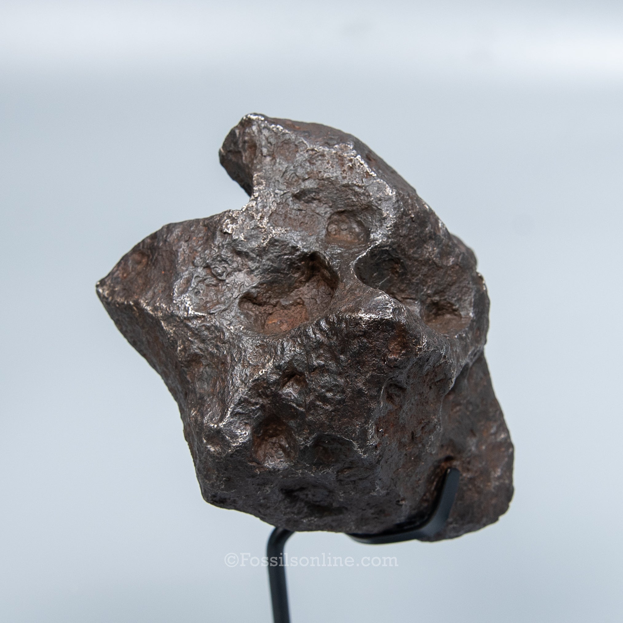 Genuine Campo del Cielo Meteorite 2195GR