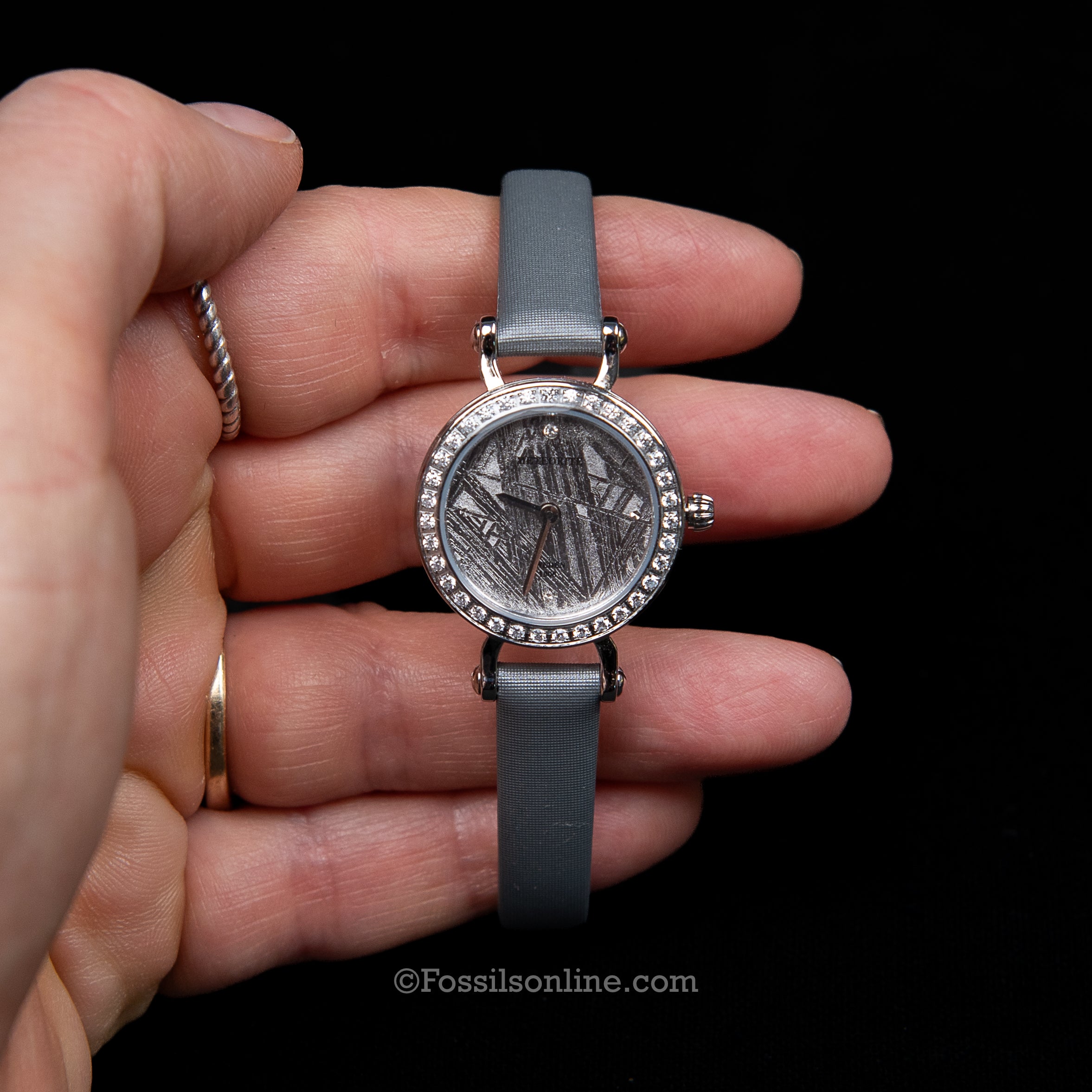 Muonionalusta Meteorite Watch