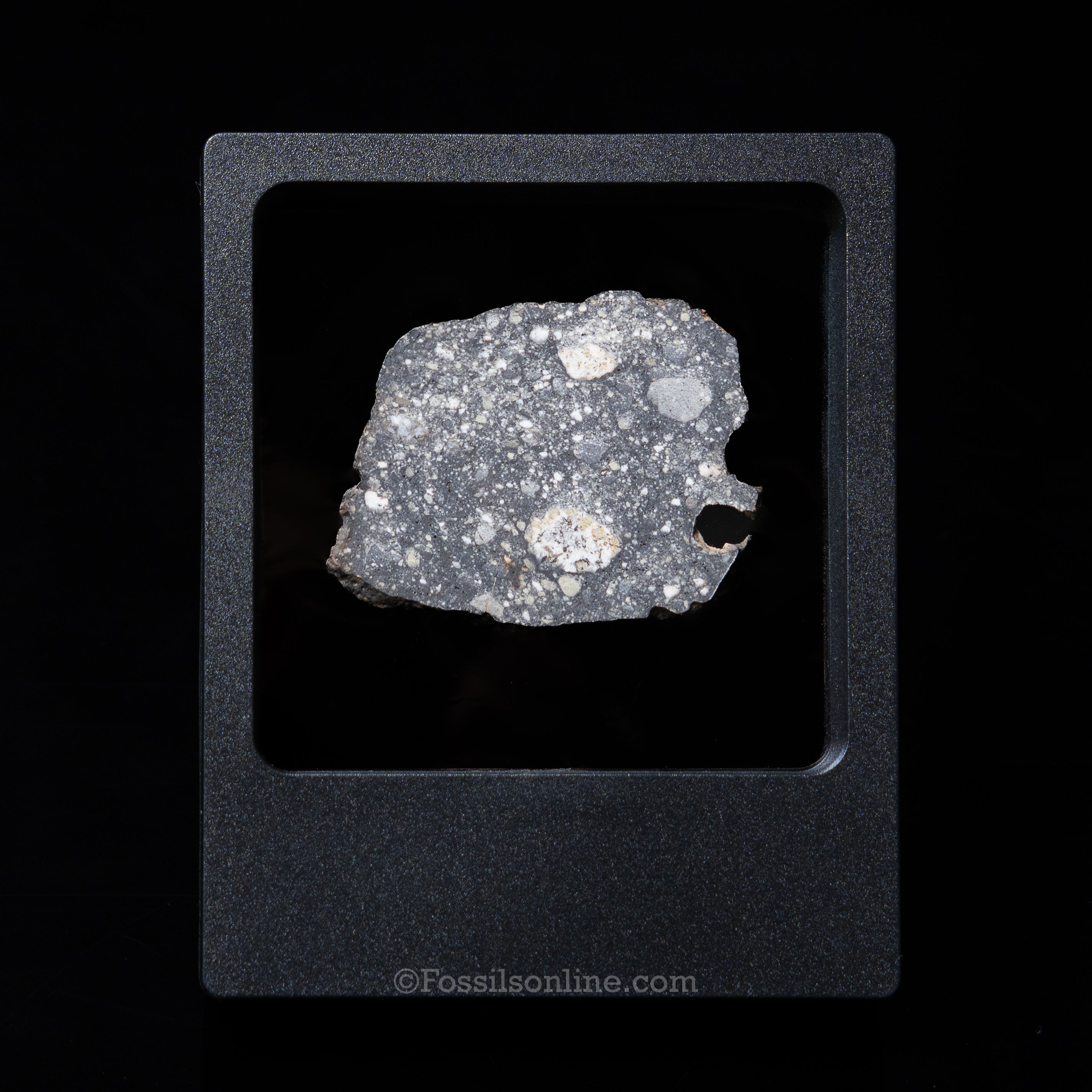 Meteorite specimen in a display case on a black background with 'Fossilsonline.com' branding.