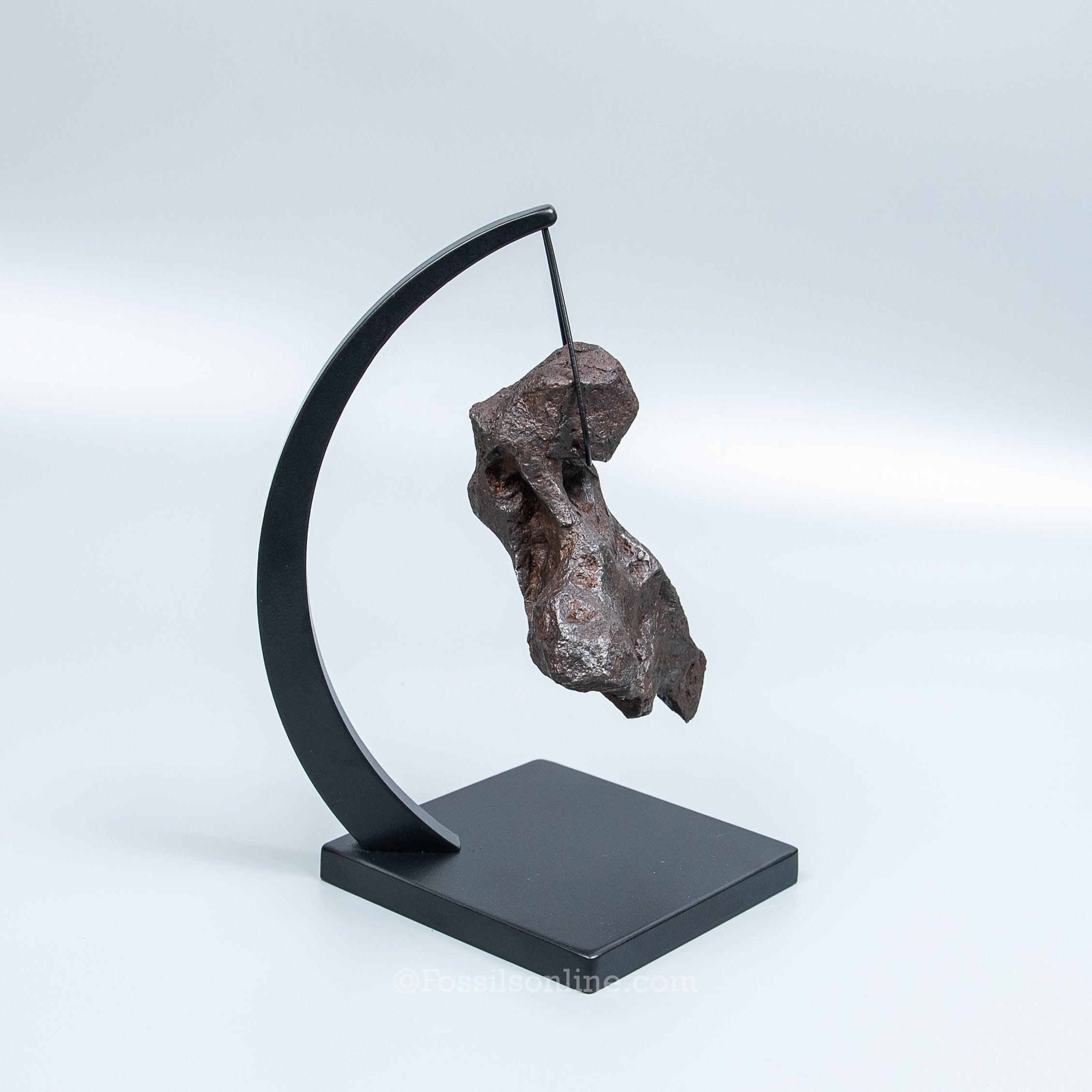 Genuine Campo del Cielo Meteorite 1125GR