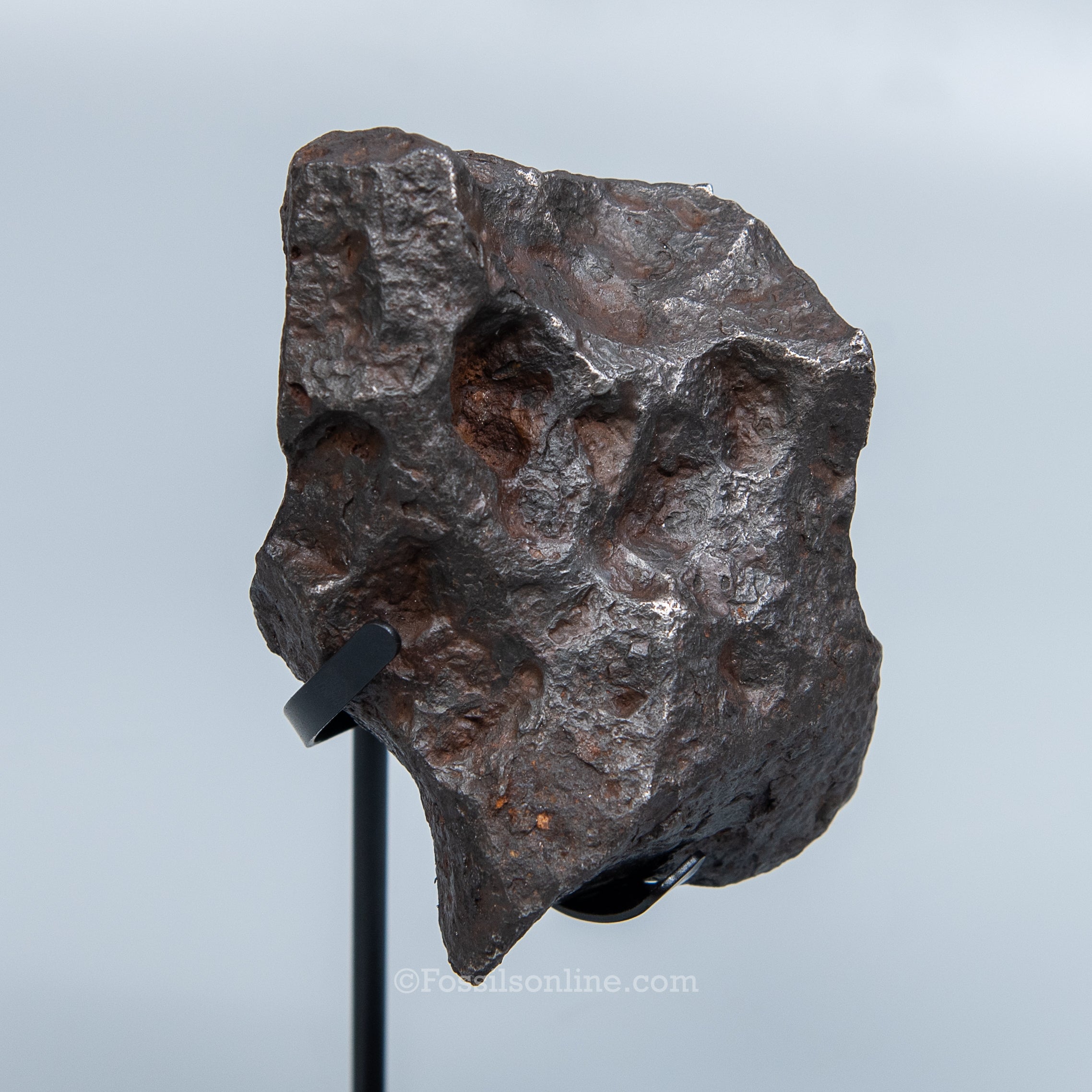 Genuine Campo del Cielo Meteorite 1410GR