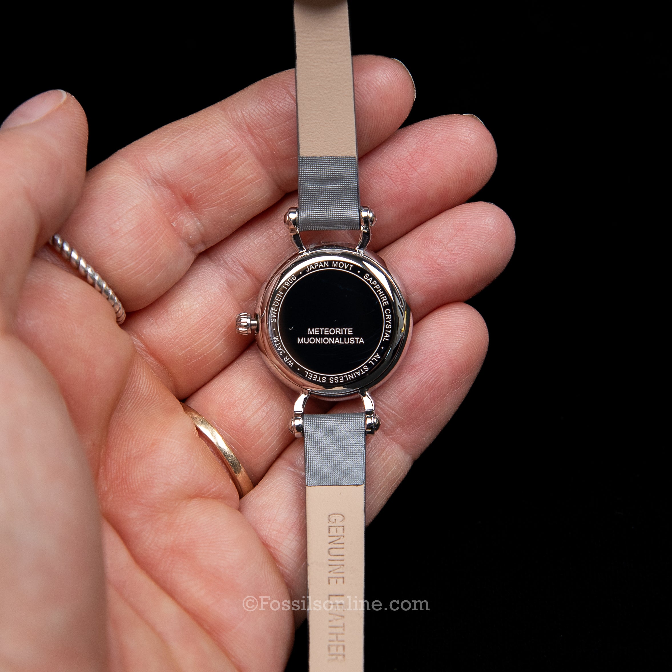 Muonionalusta Meteorite Watch