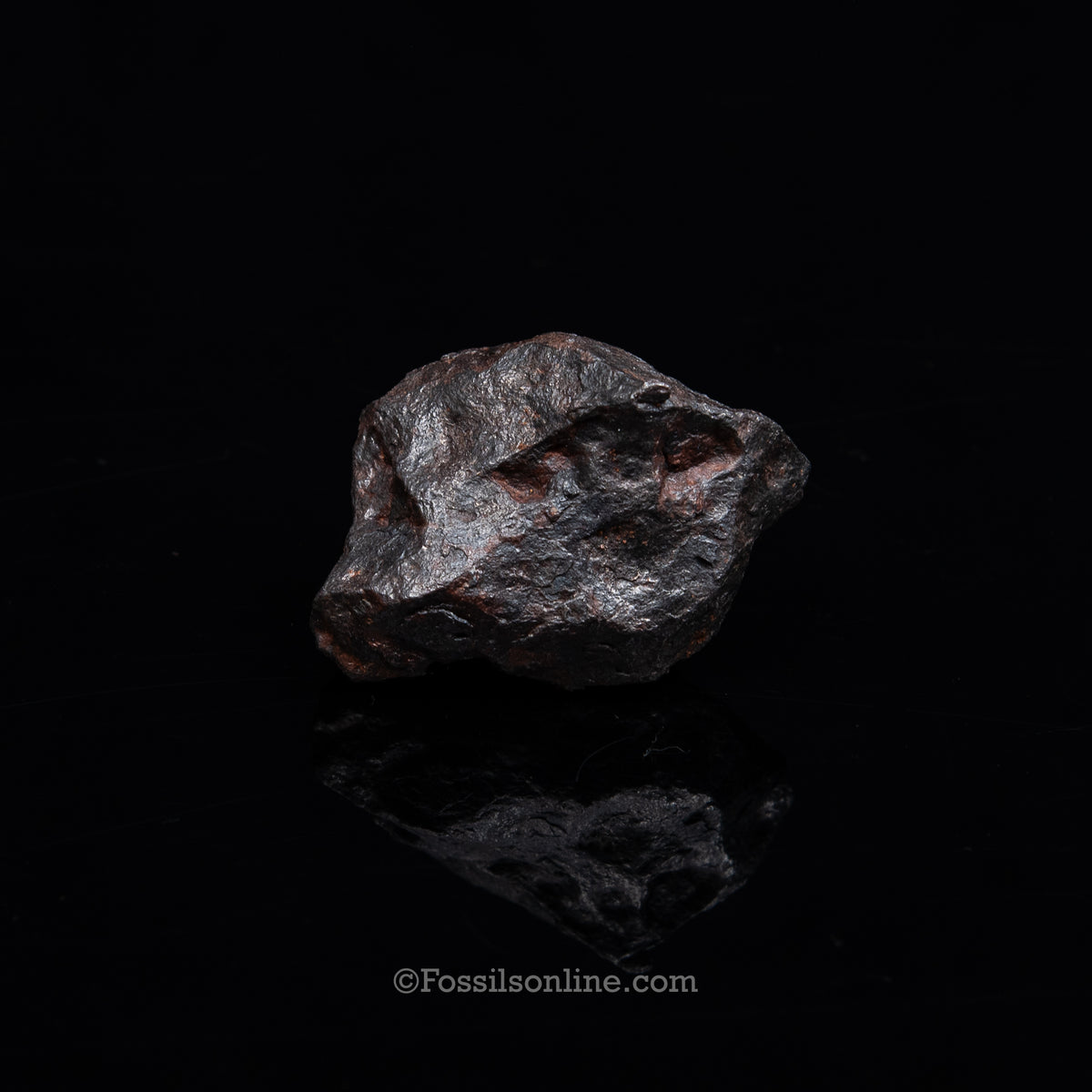 Genuine Campo del Cielo Meteorite 225GR