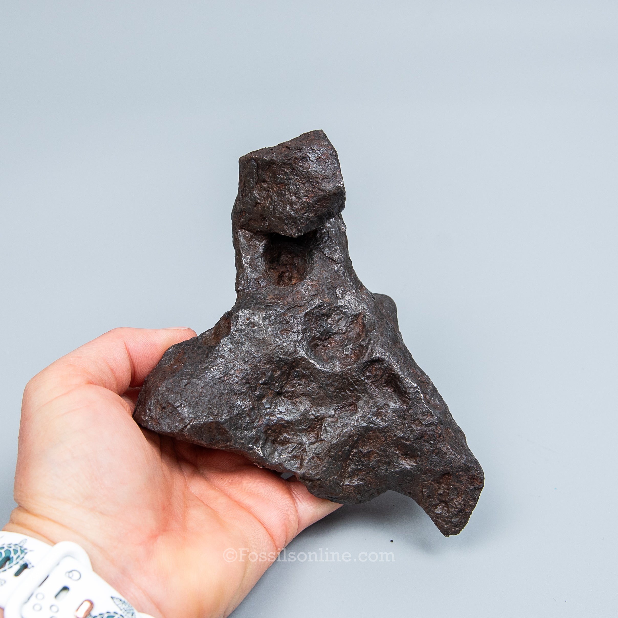Genuine Campo del Cielo Meteorite 1125GR