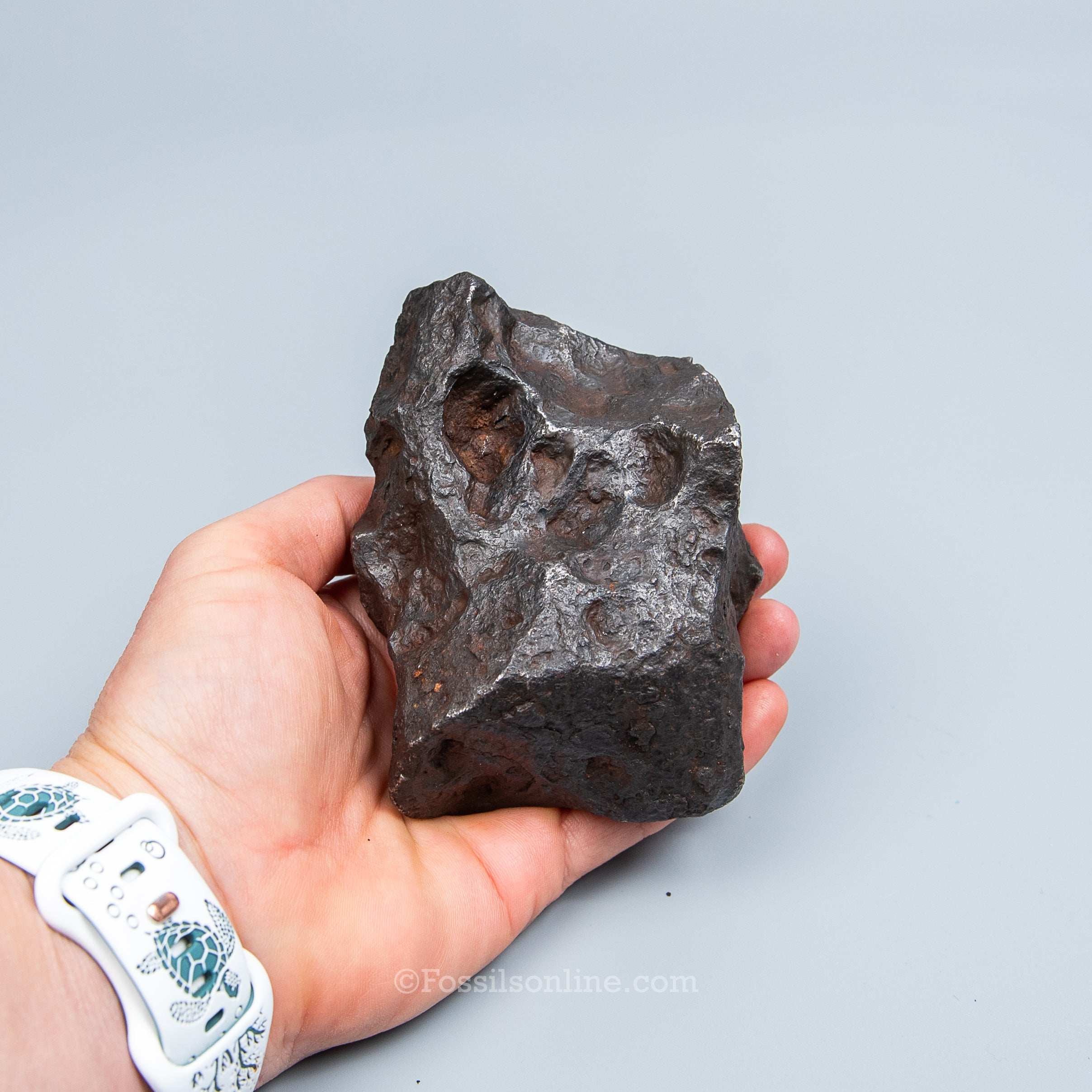 Genuine Campo del Cielo Meteorite 1410GR