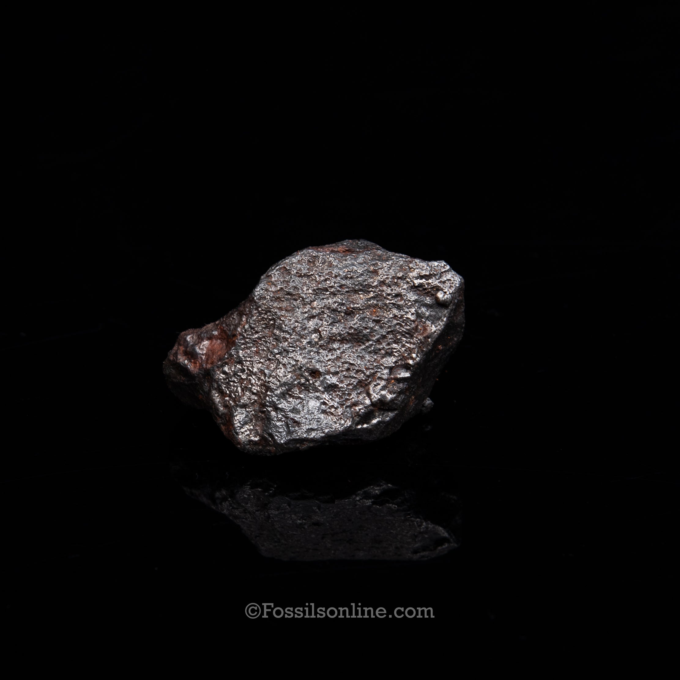Genuine Campo del Cielo Meteorite 225GR