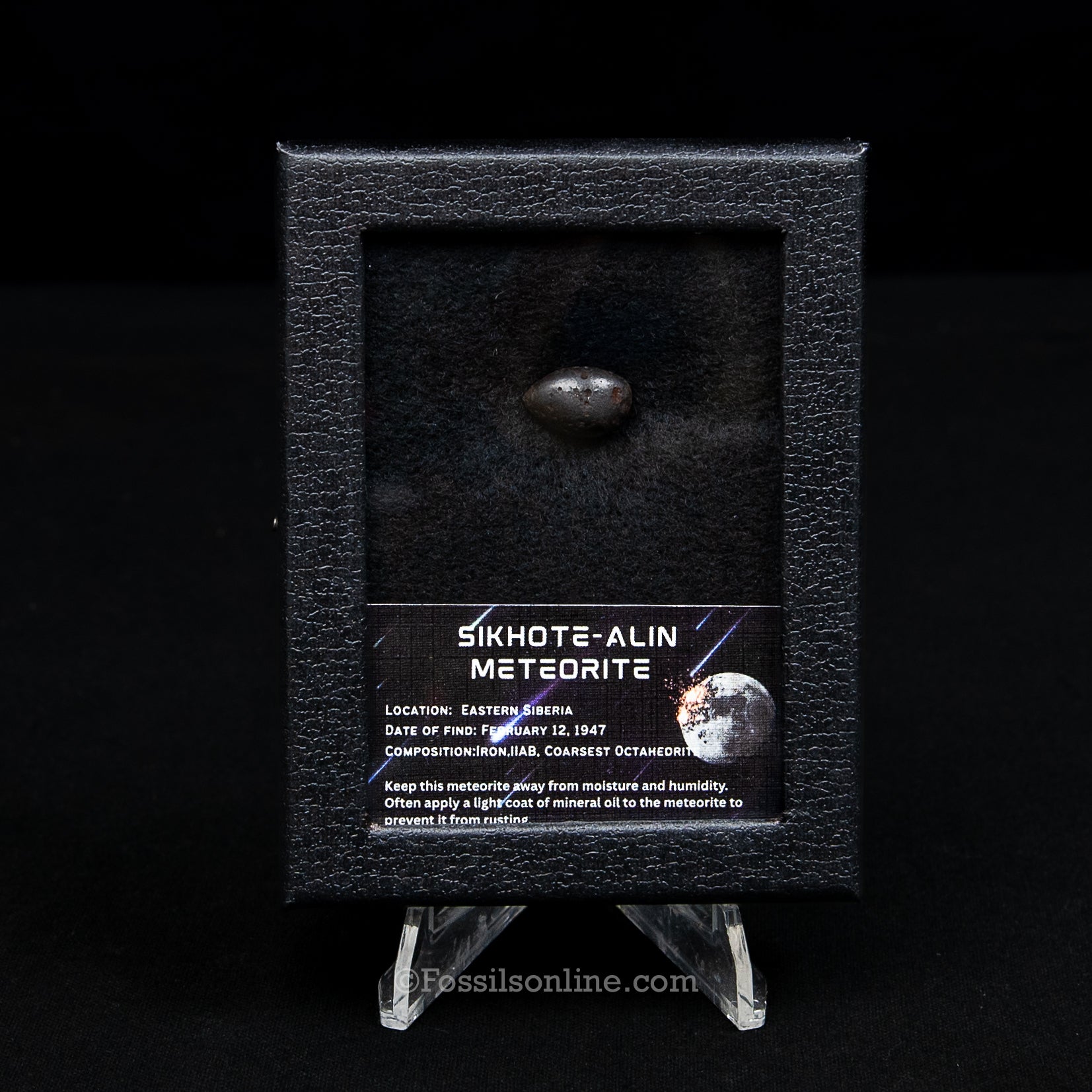 Sikhote-Alin Meteorite in a case