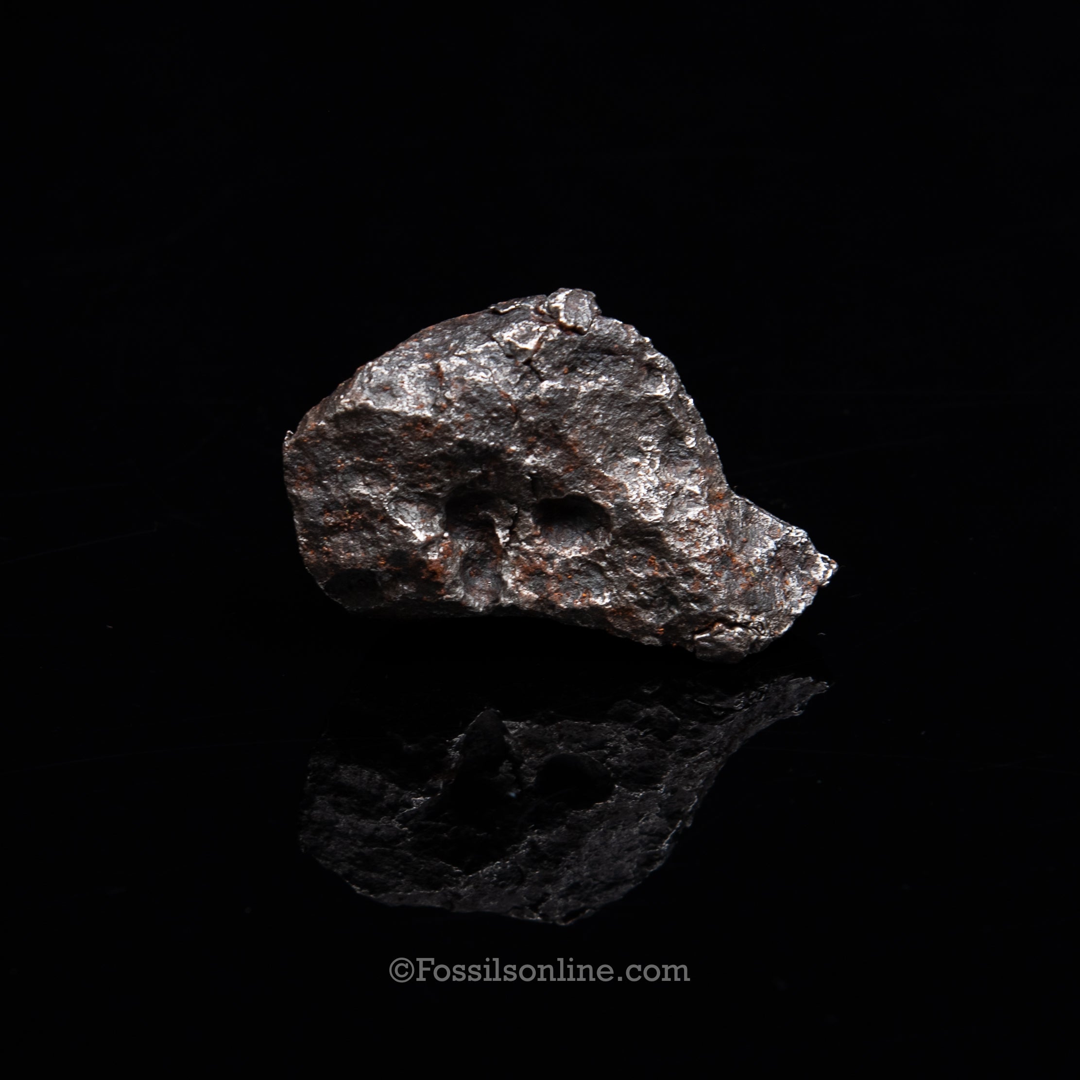 Genuine Campo del Cielo Meteorite 381GR