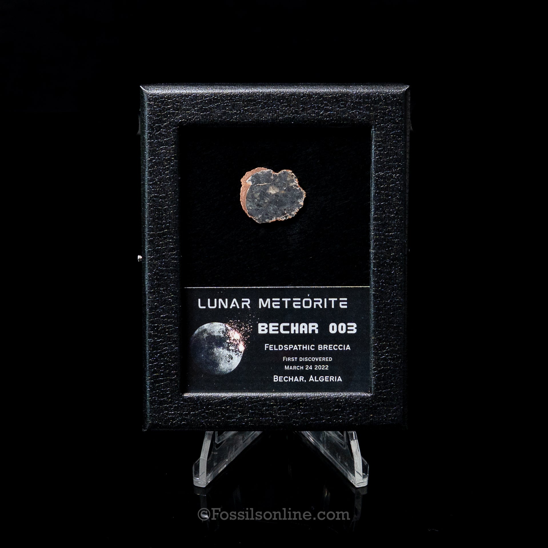 Bechar 003 Lunar Meteorite Slice