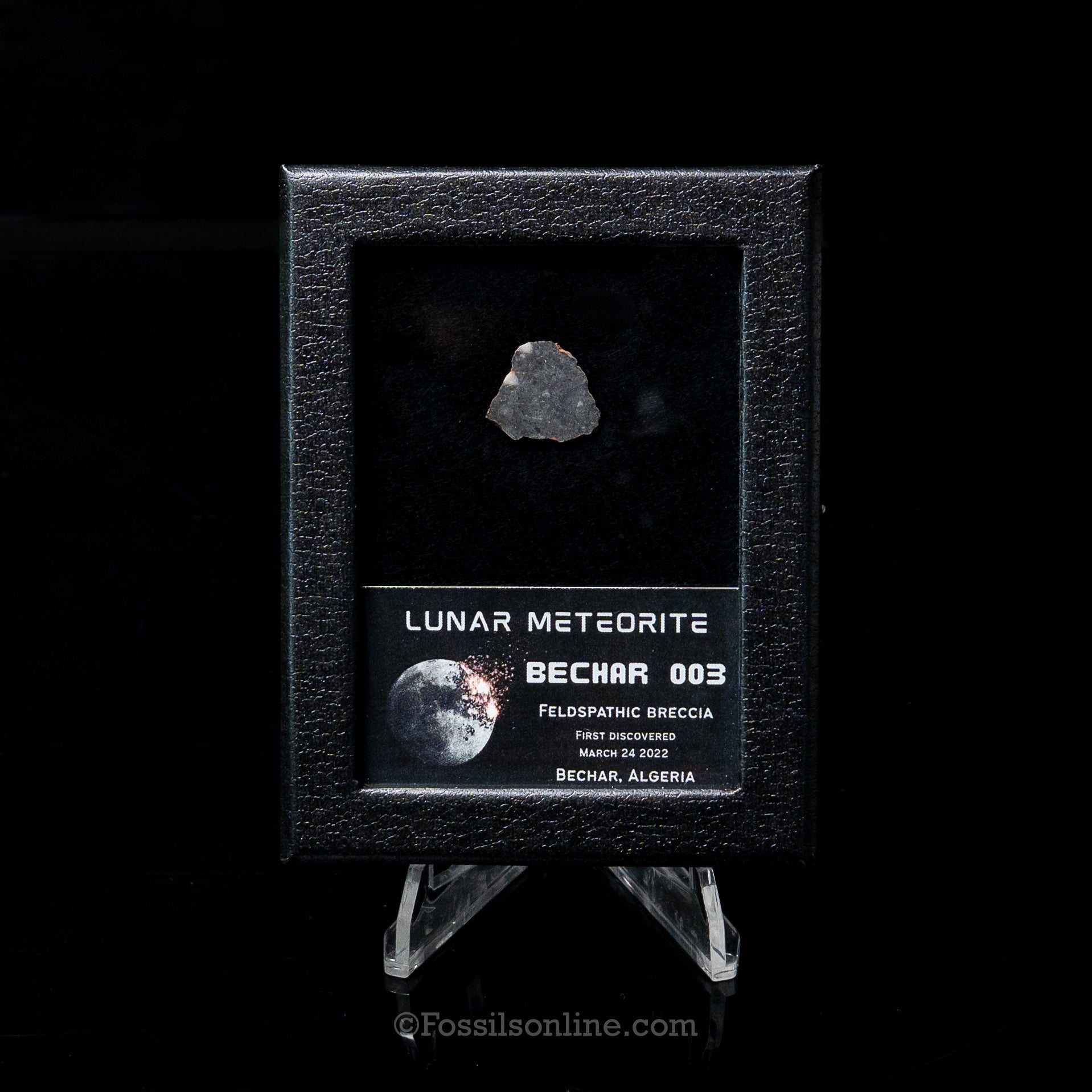 Bechar 003 Lunar Meteorite Slice