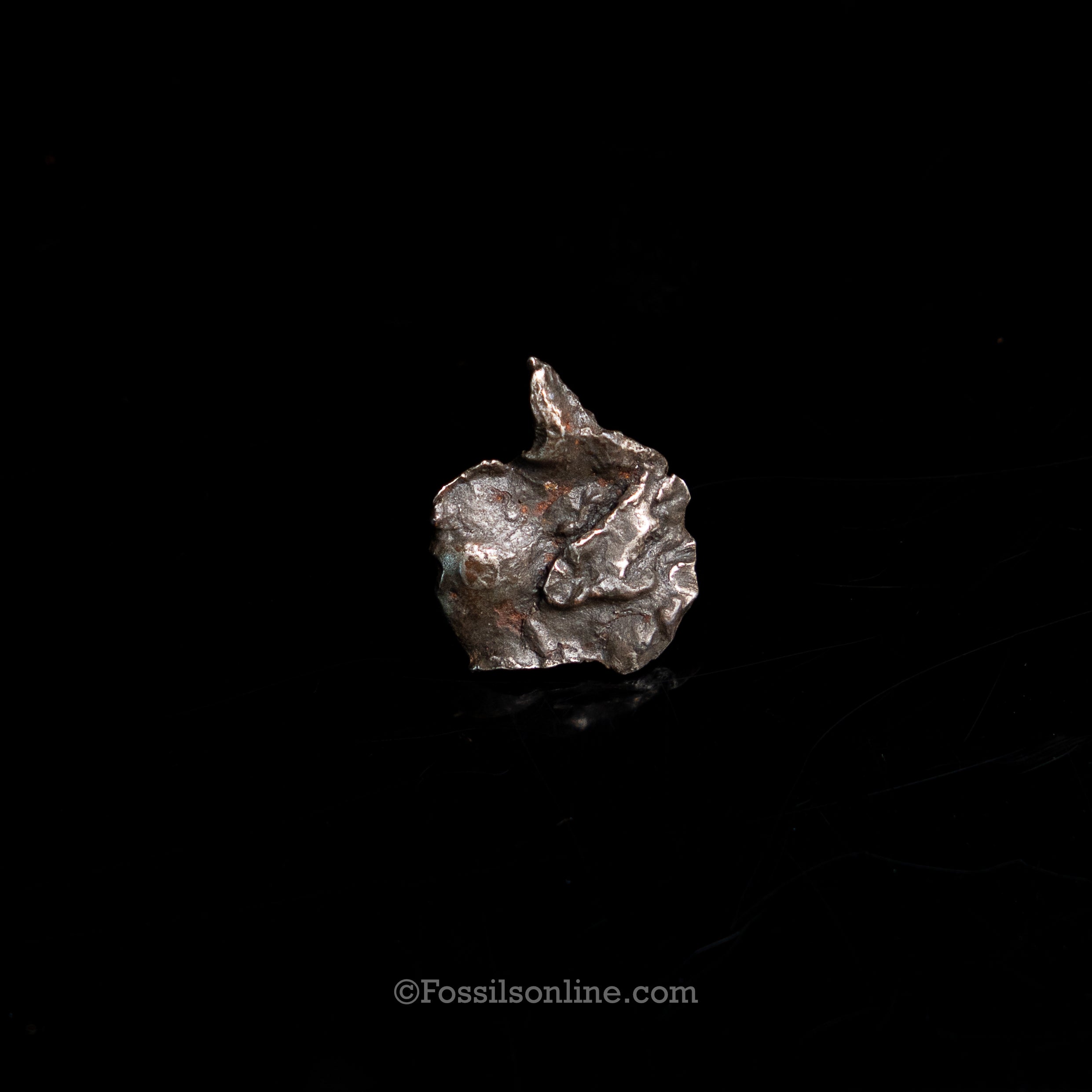 Genuine Sikhote-Alin Meteorite in Glass Dome