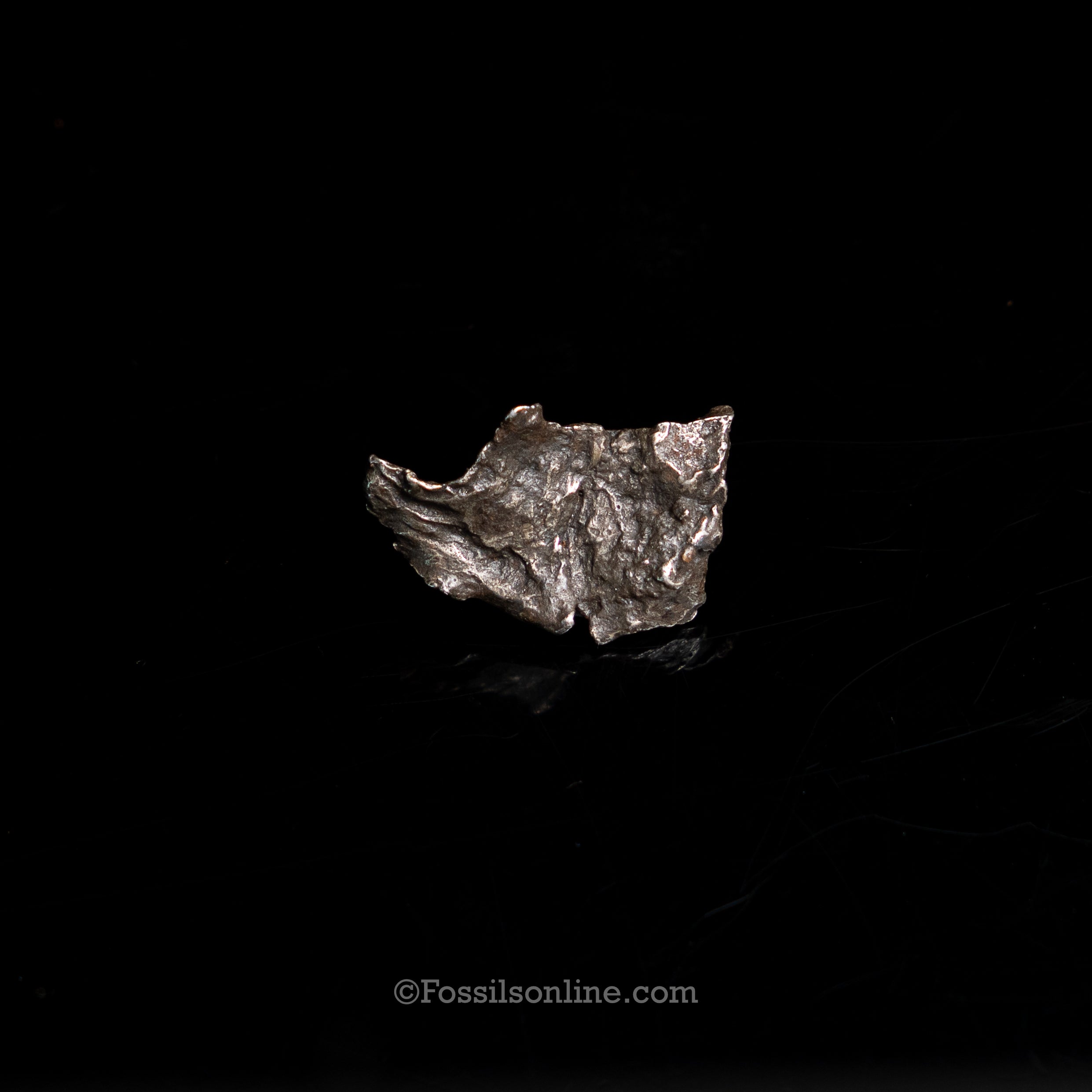 Genuine Sikhote-Alin Meteorite in Glass Dome