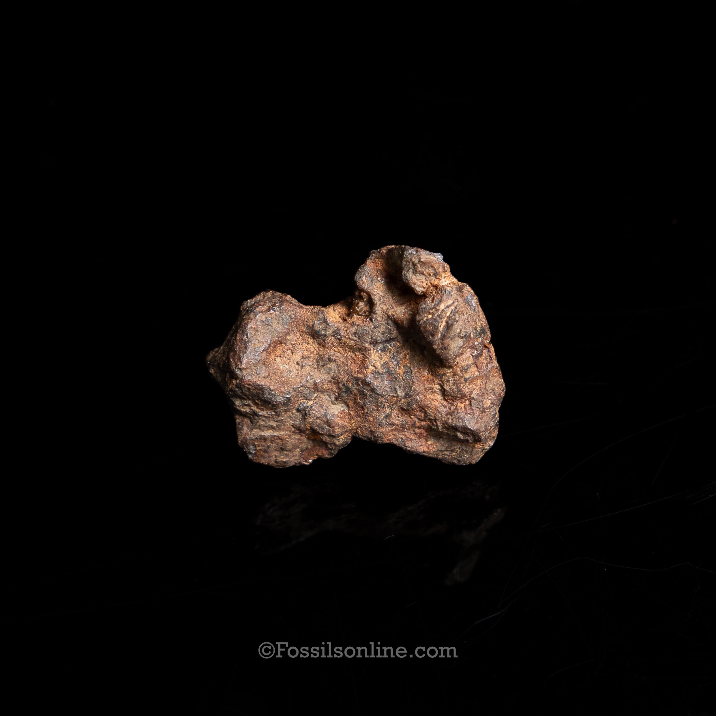 Genuine Sericho Meteorite in Glass Dome