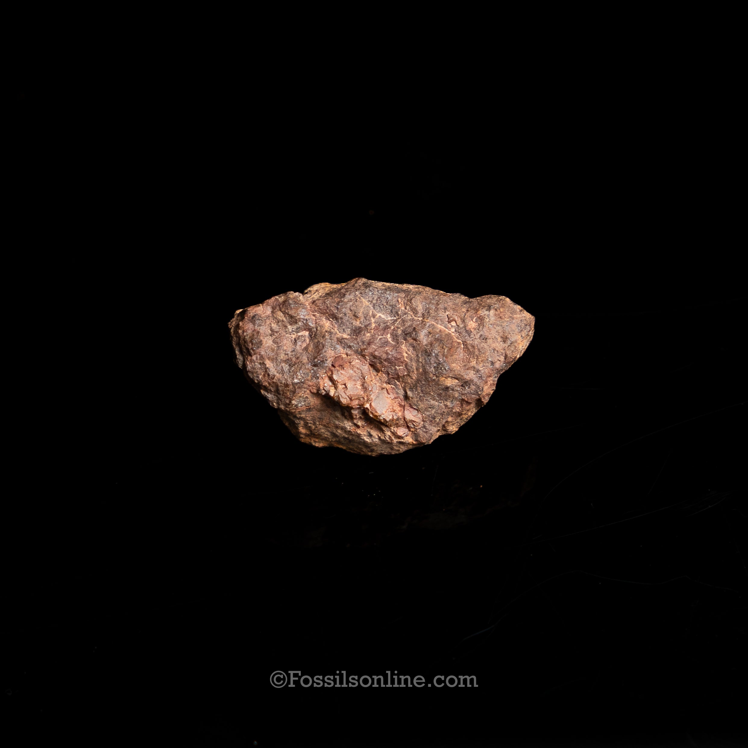 Genuine Vaca Muerta Meteorite in Glass Dome
