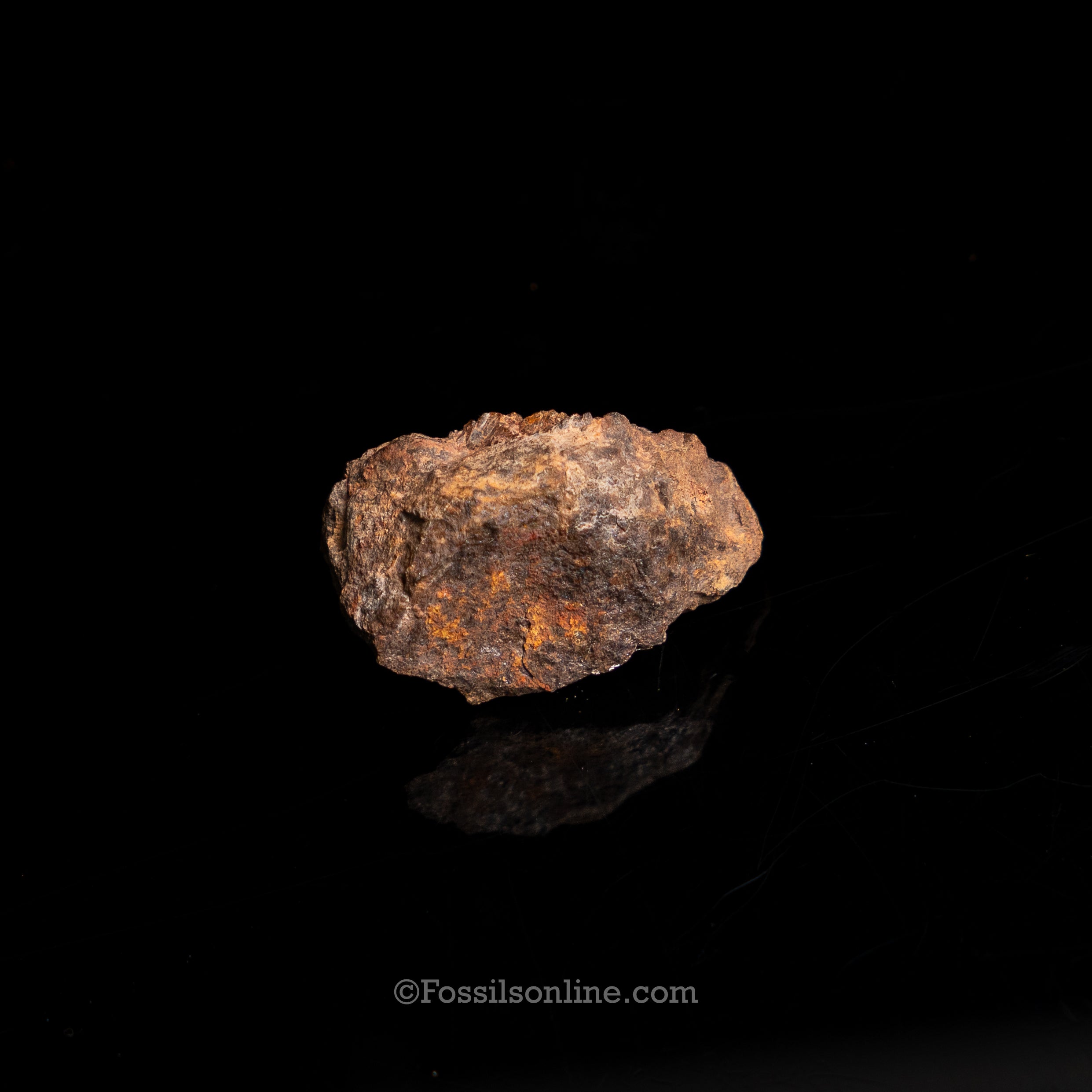 Genuine Vaca Muerta Meteorite in Glass Dome