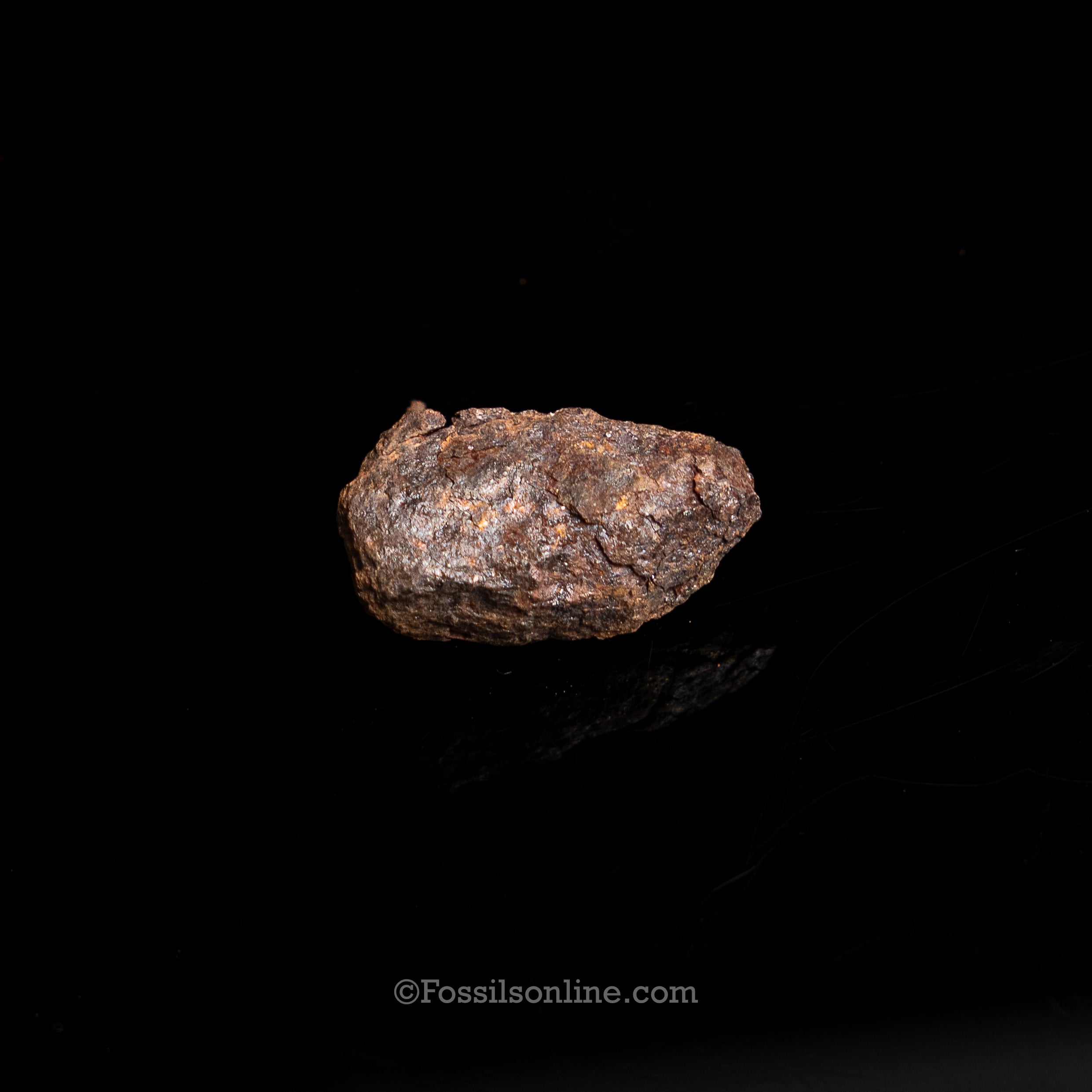Genuine Vaca Muerta Meteorite in Glass Dome