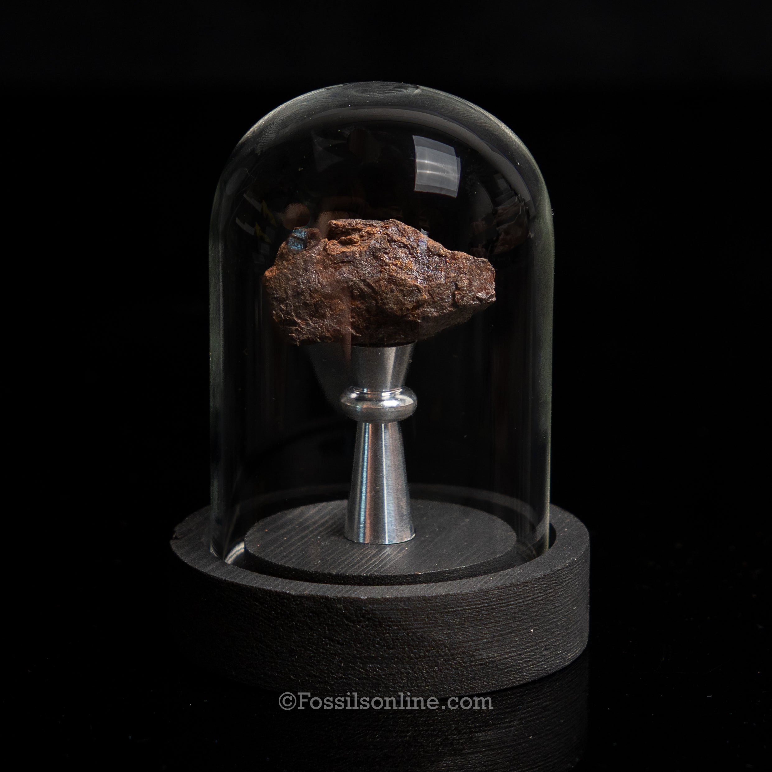Genuine Vaca Muerta Meteorite in Glass Dome
