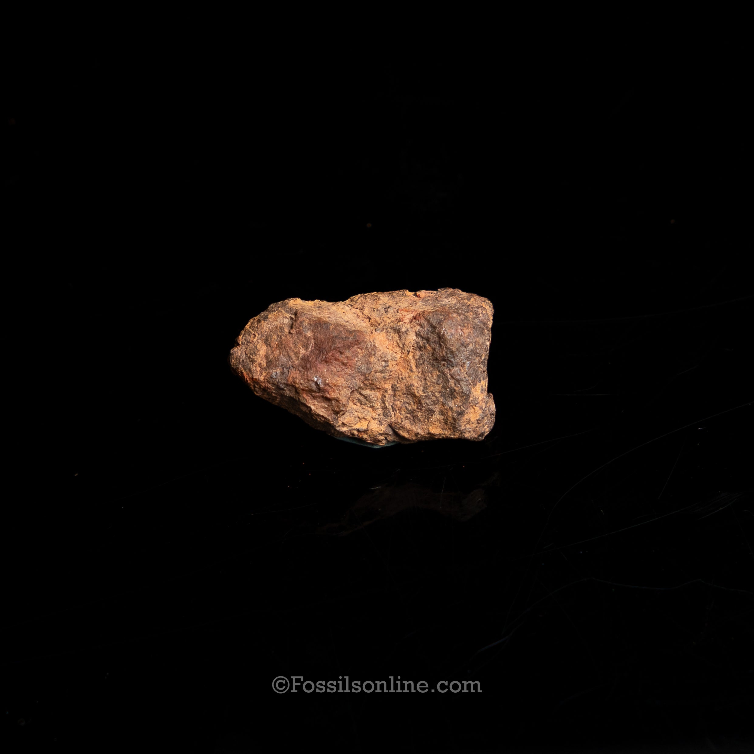 Genuine Vaca Muerta Meteorite in Glass Dome