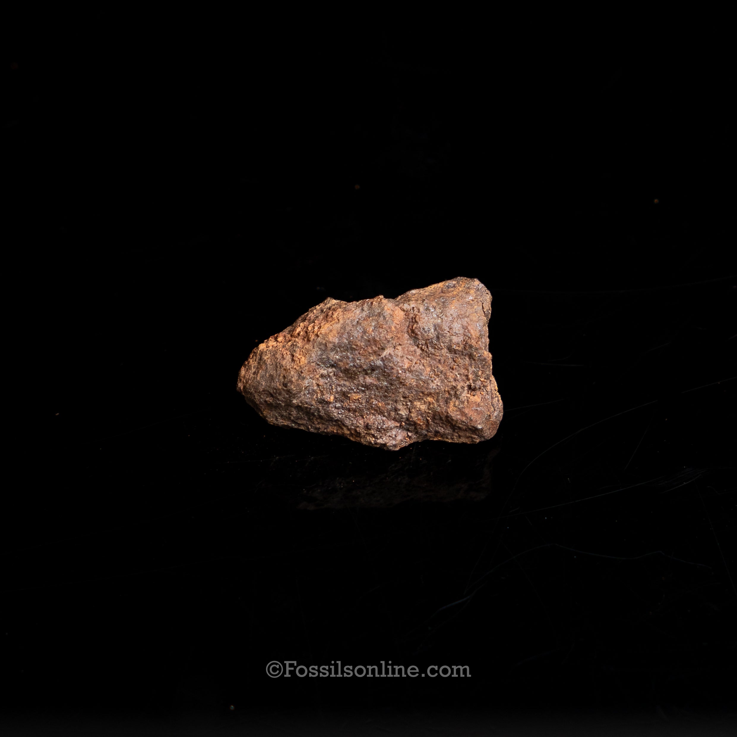 Genuine Vaca Muerta Meteorite in Glass Dome