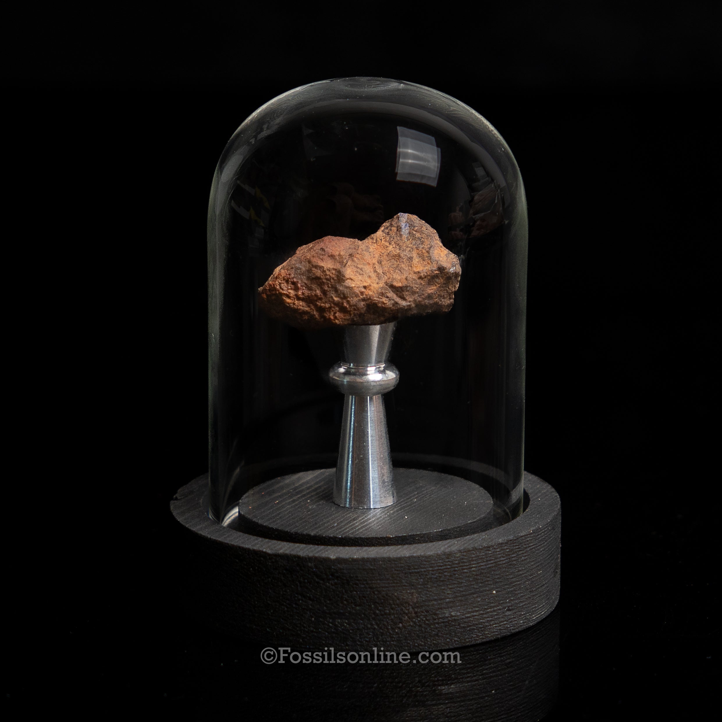 Genuine Vaca Muerta Meteorite in Glass Dome