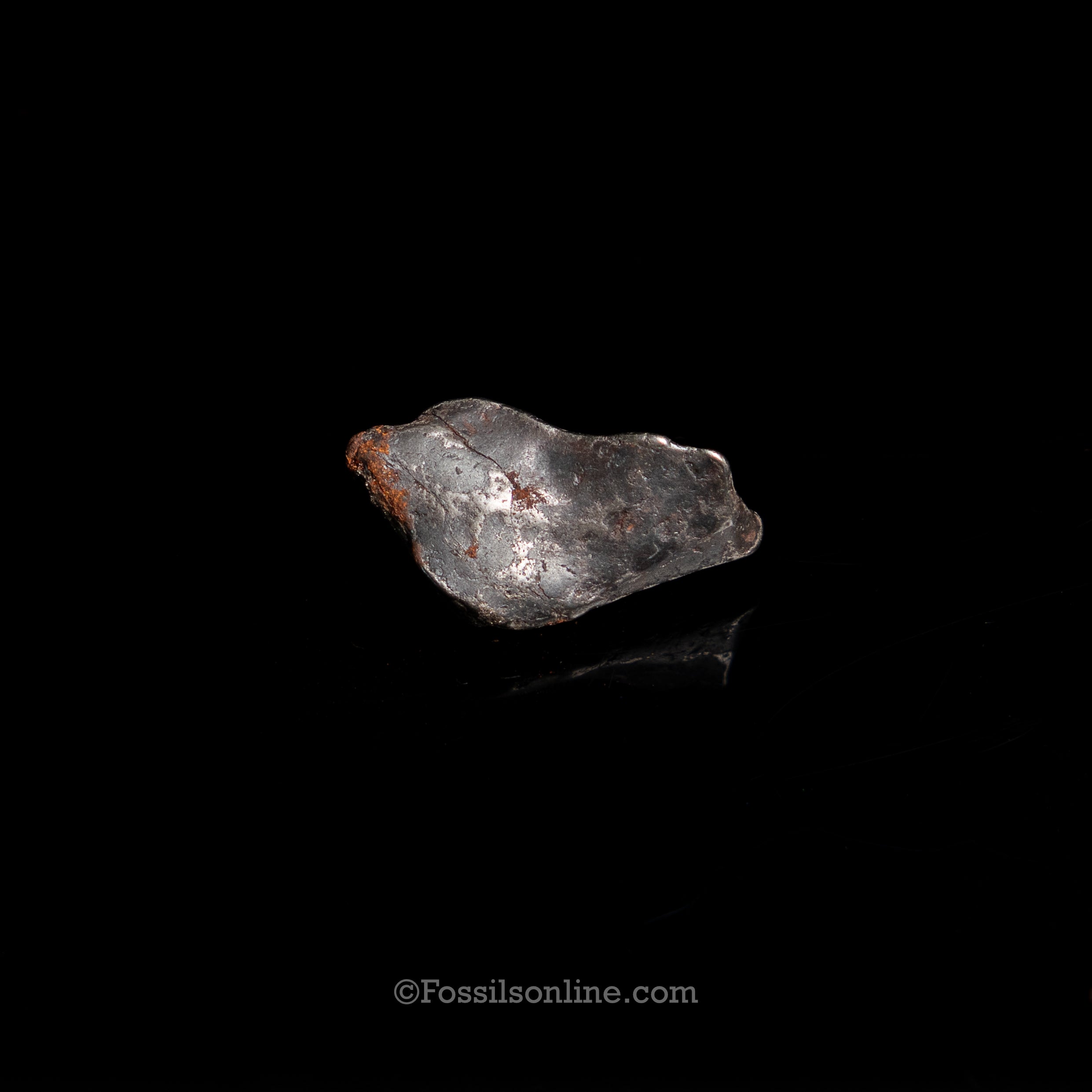 Genuine Canyon Diablo Meteorite in Glass Dome
