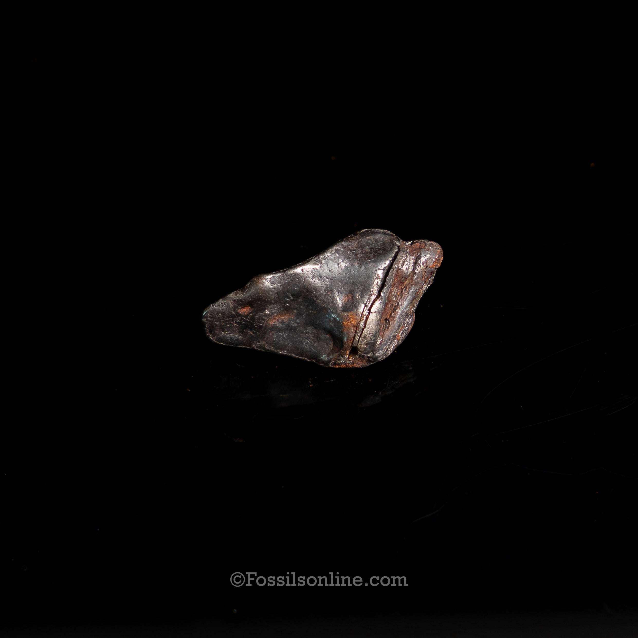 Genuine Canyon Diablo Meteorite in Glass Dome