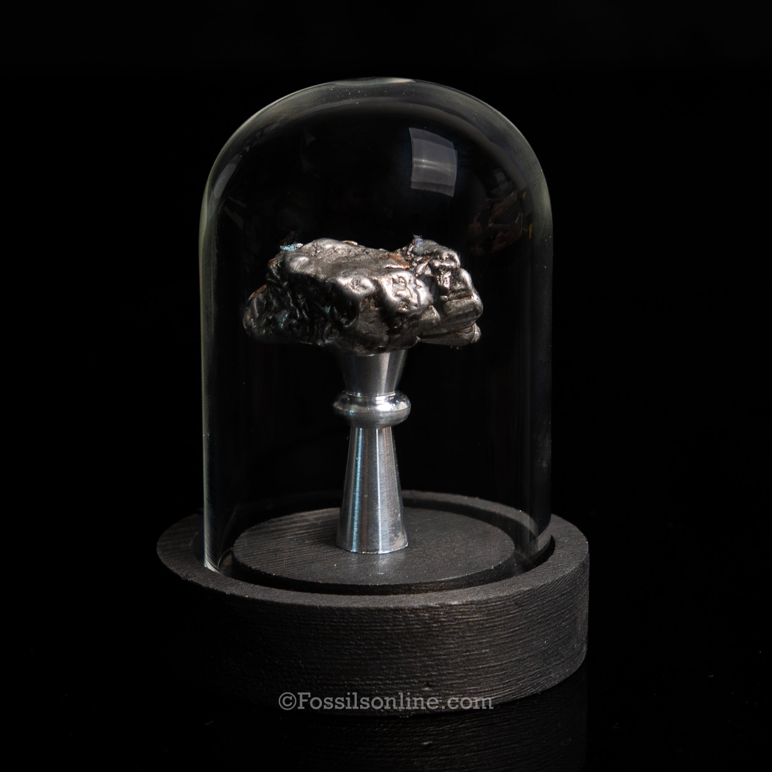 GENUINE Aletai Meteorite in a glass dome