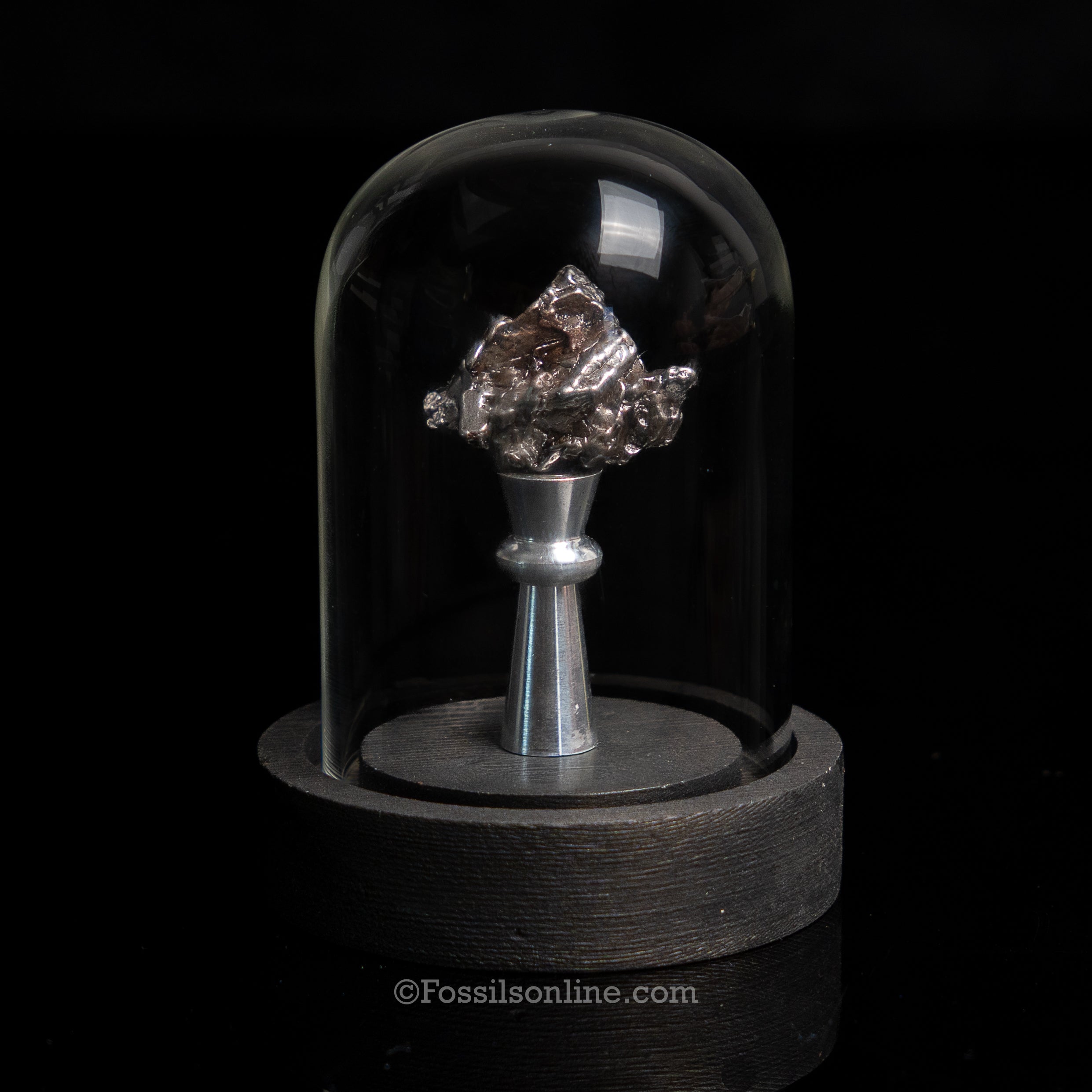 Genuine Campo del Cielo Meteorite in Glass Dome
