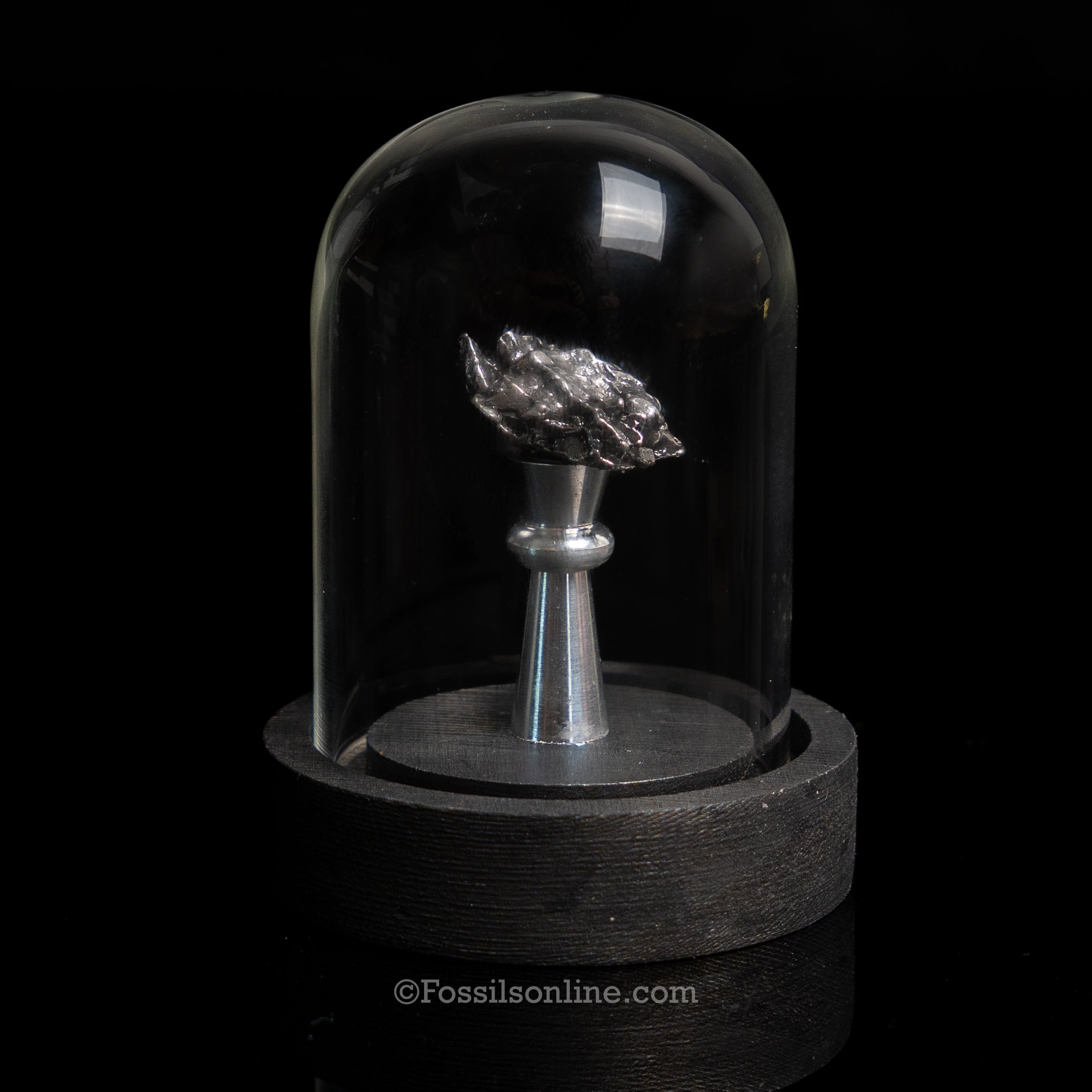 Genuine Campo del Cielo Meteorite in Glass Dome