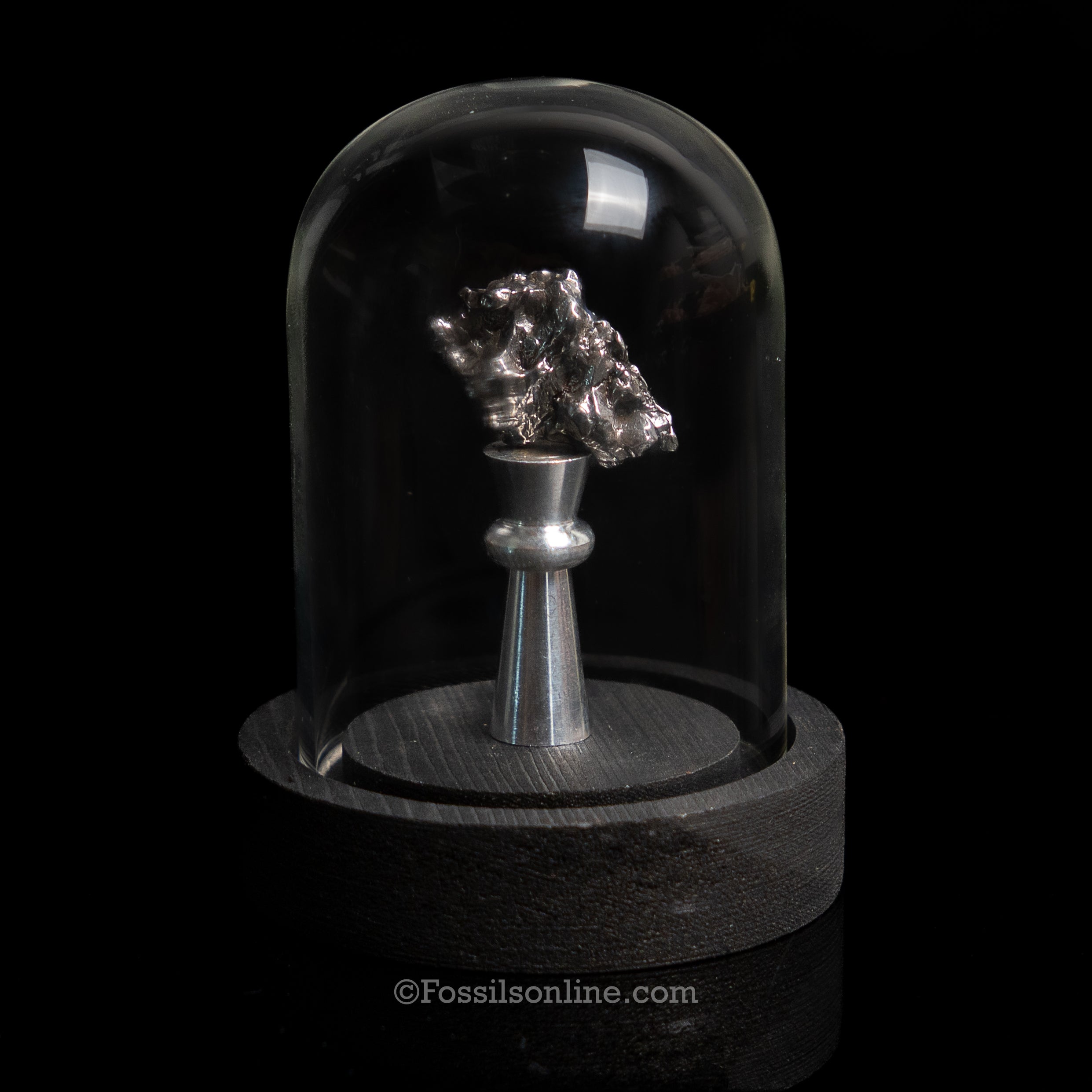 Genuine Campo del Cielo Meteorite in Glass Dome