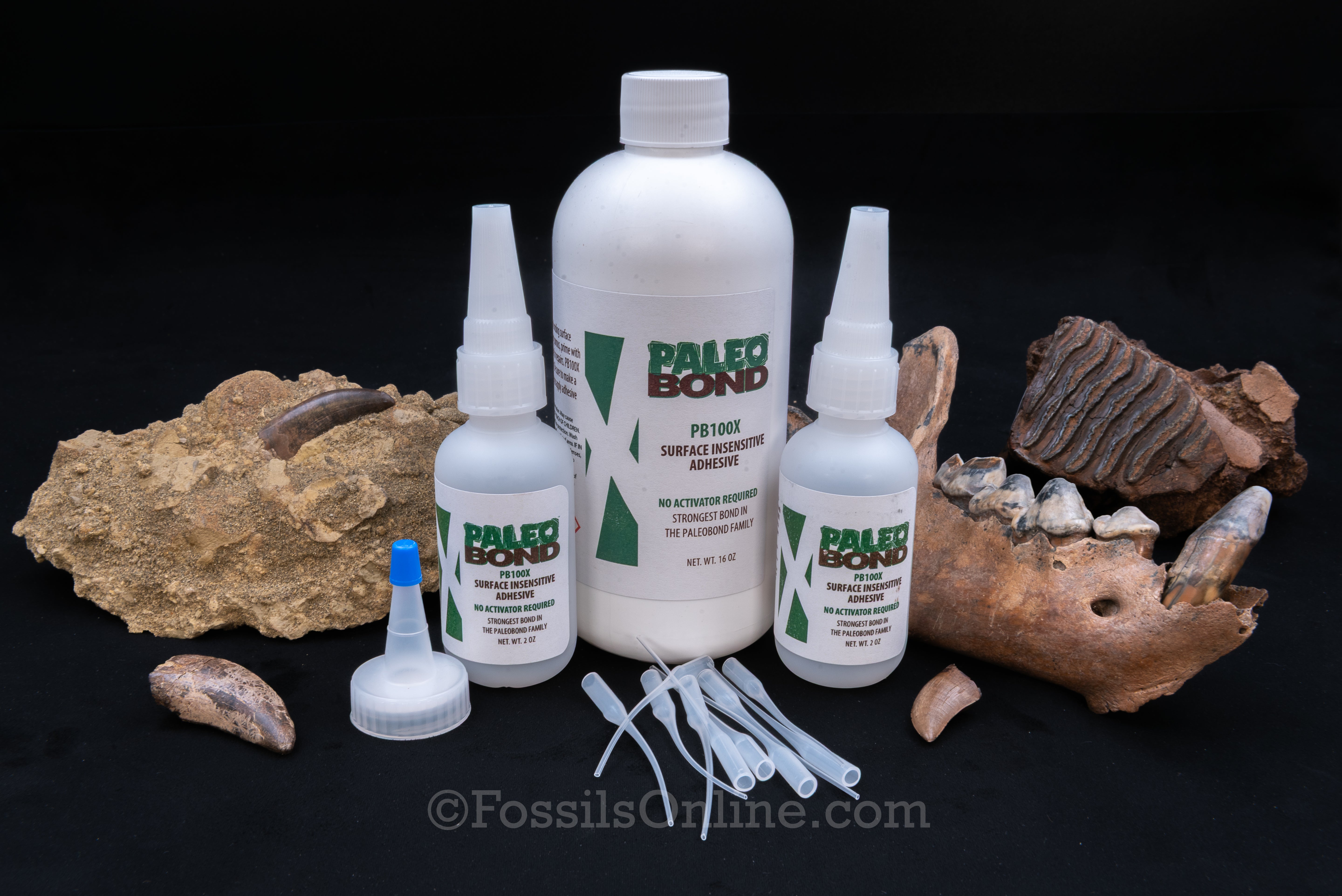 PaleoBOND PB100X Surface Insensitive Adhesive 16OZ Kit