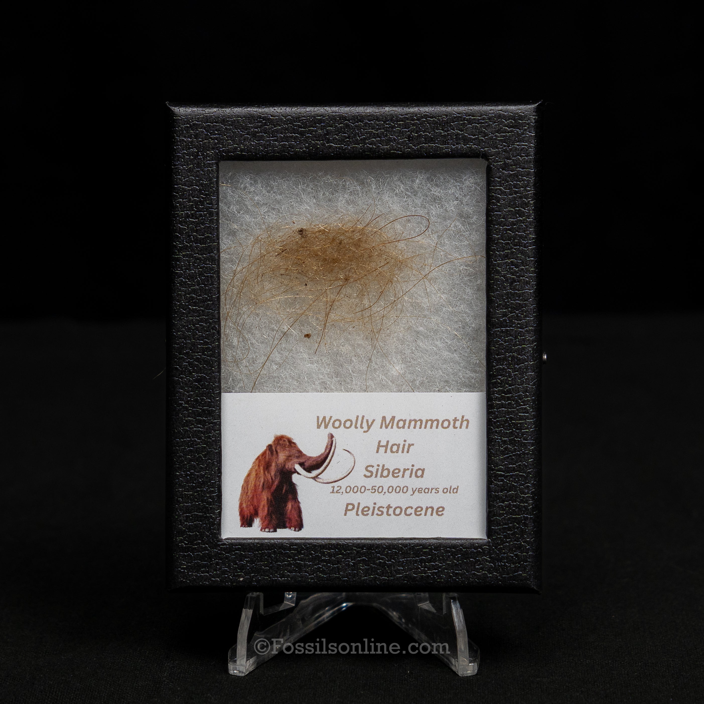 Woolly Mammoth Hair