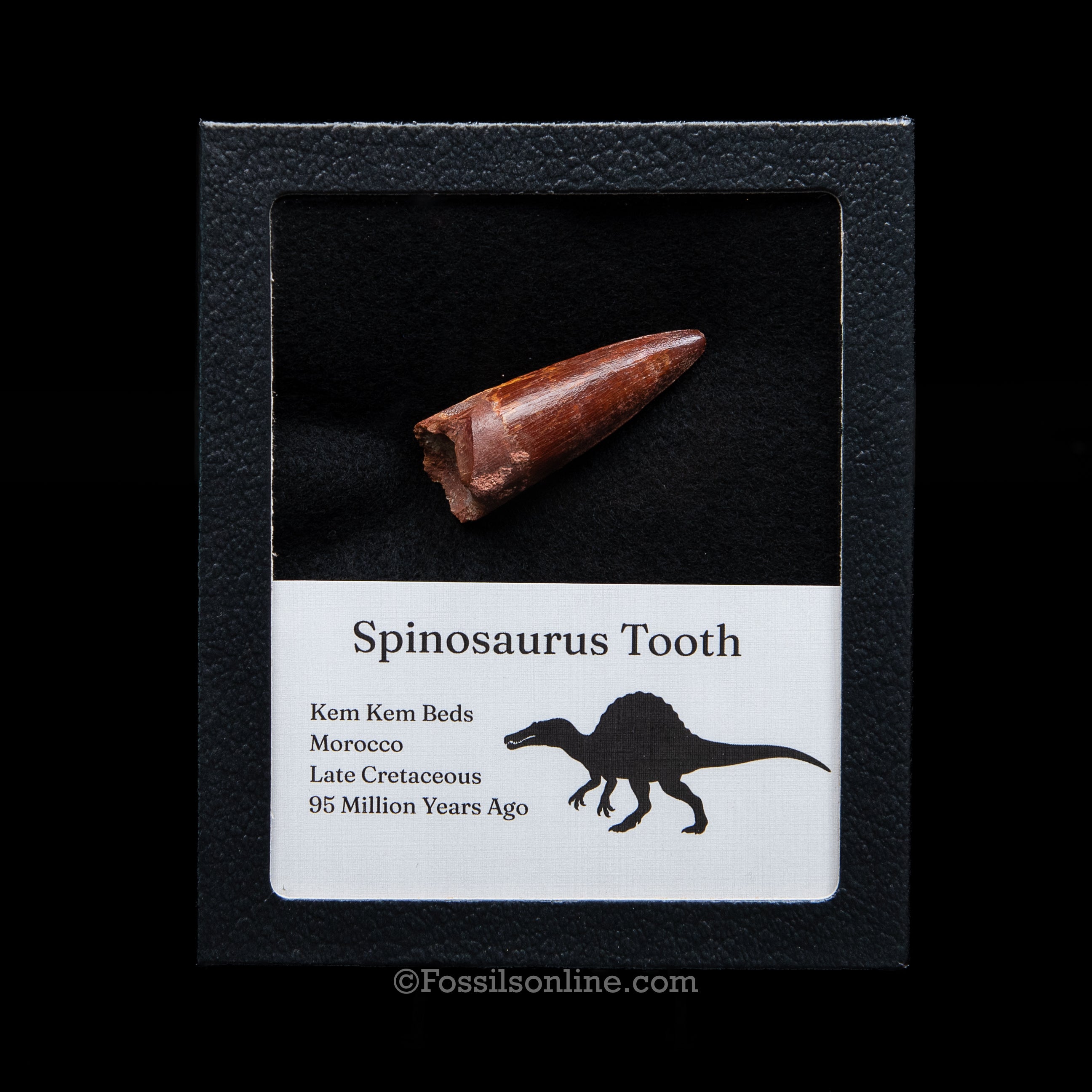 Spinosaurus