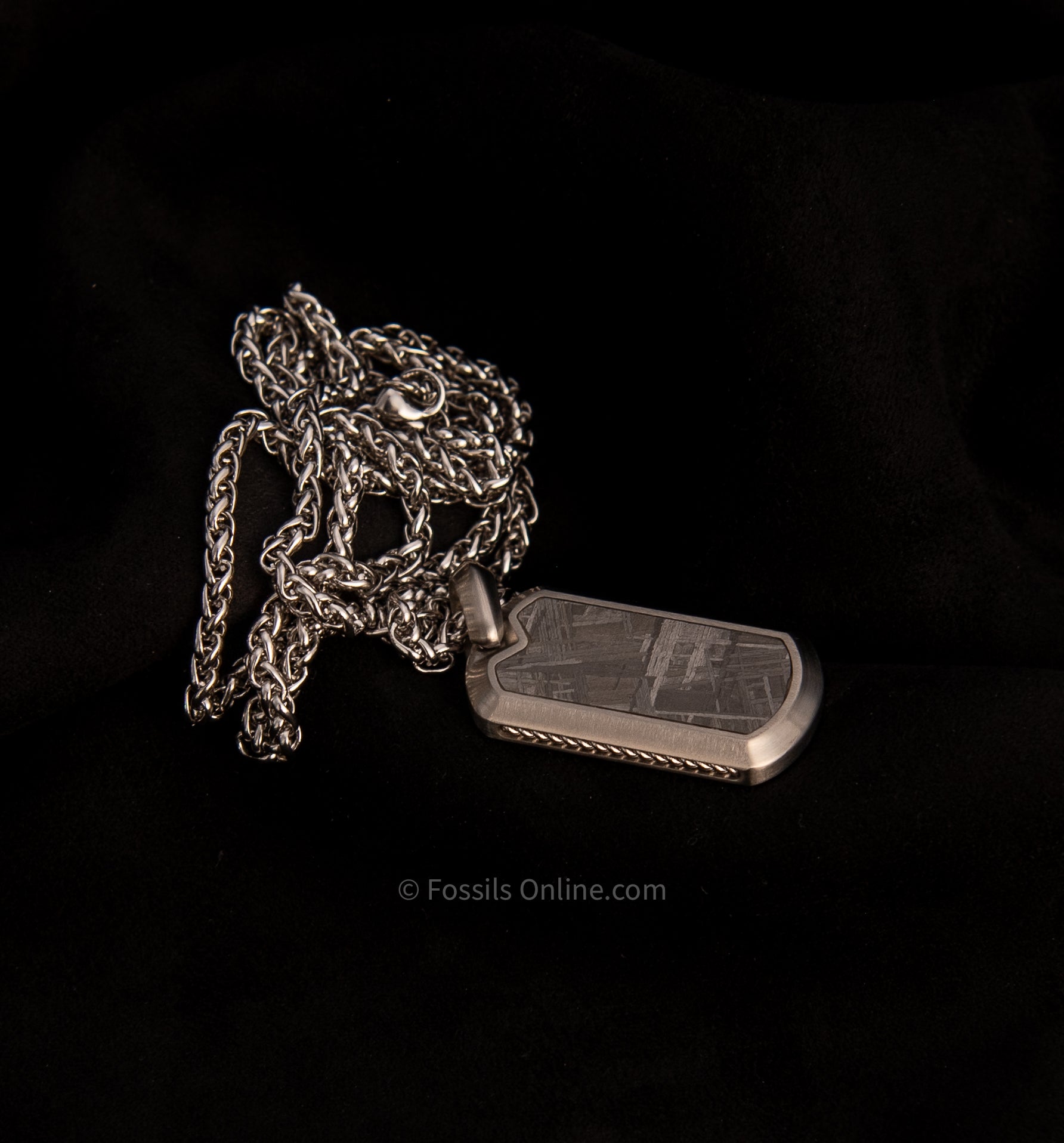 Muonionalusta Meteorite Pendant with Necklace SST