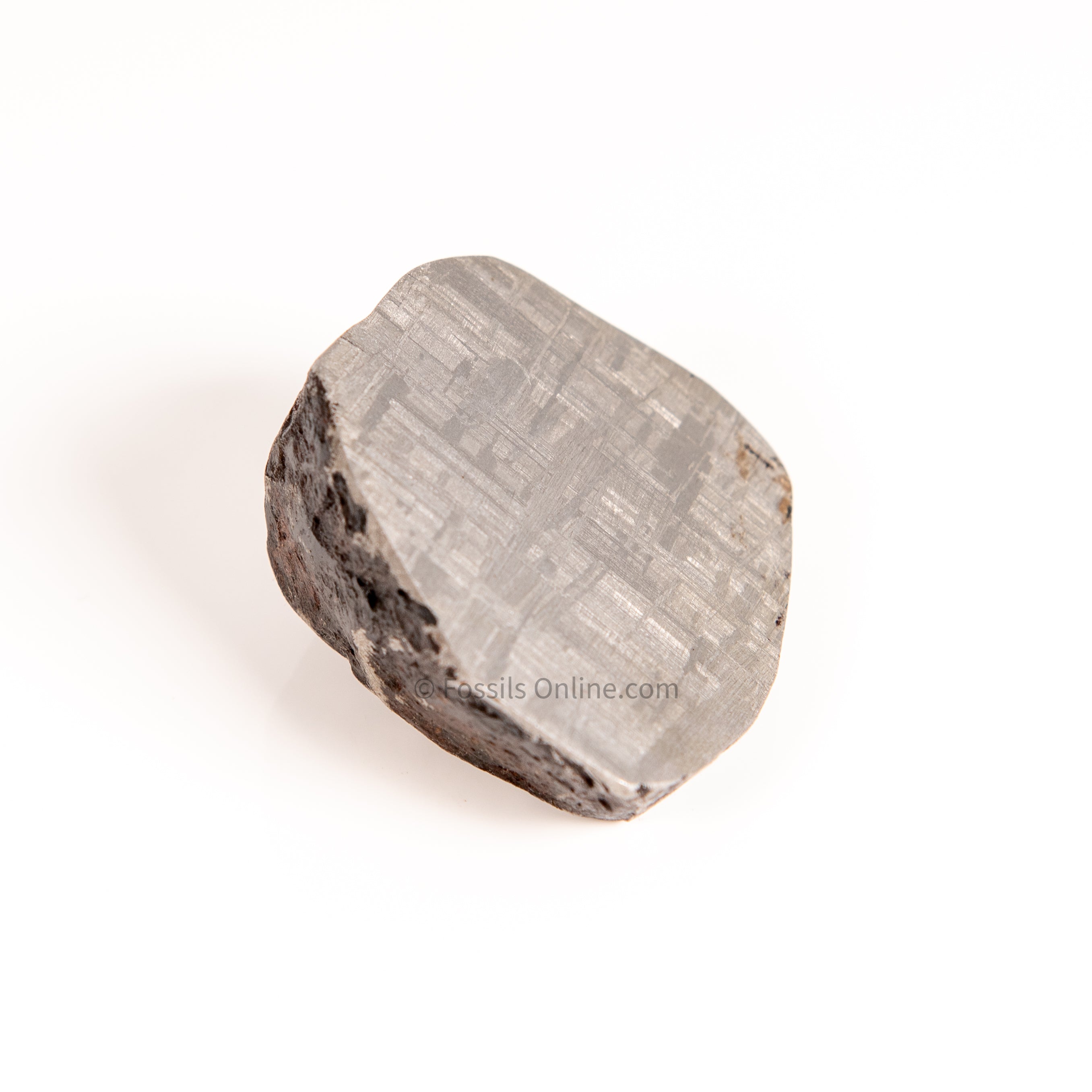 Muonionalusta Meteorite End Cut 224gr