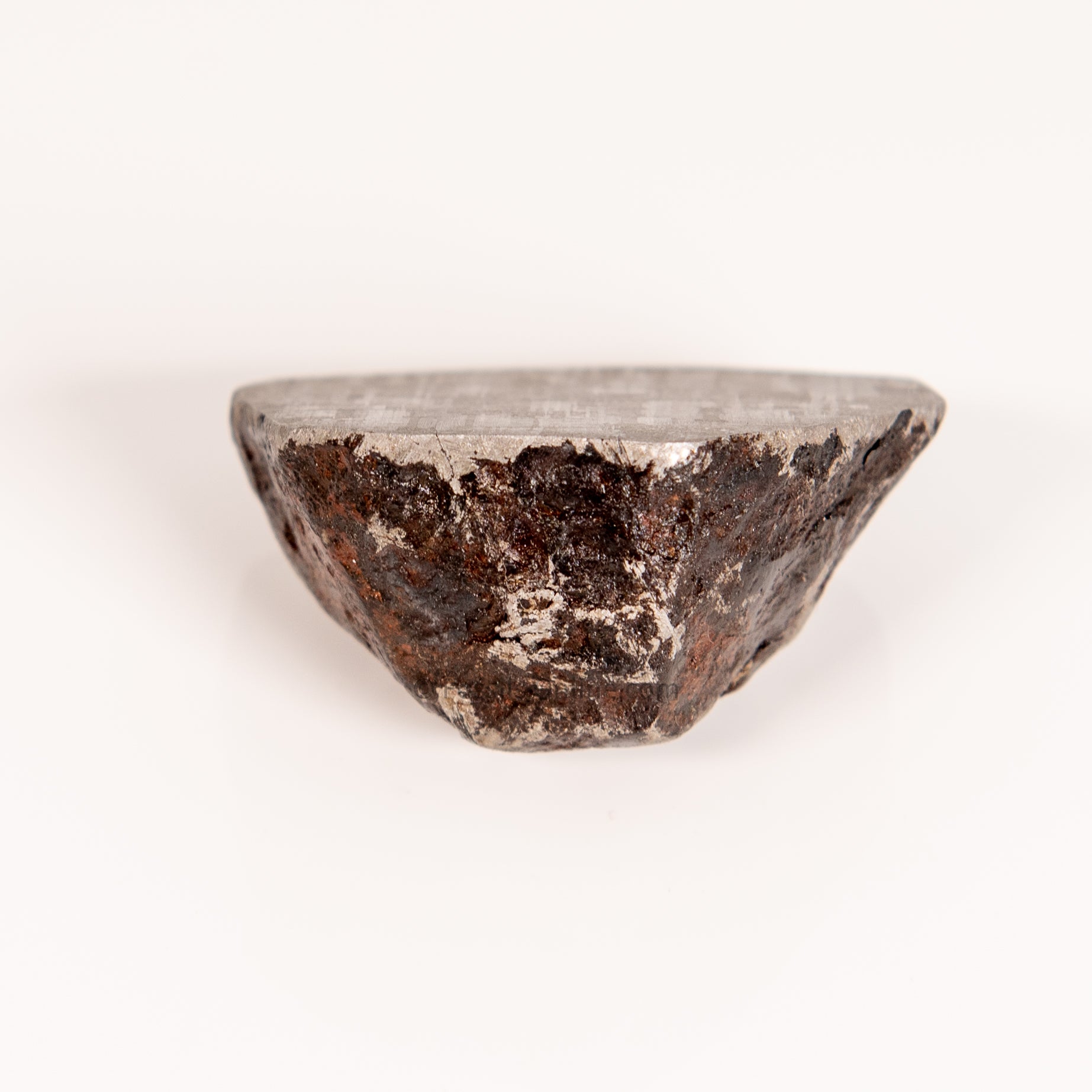 Muonionalusta Meteorite End Cut 224gr