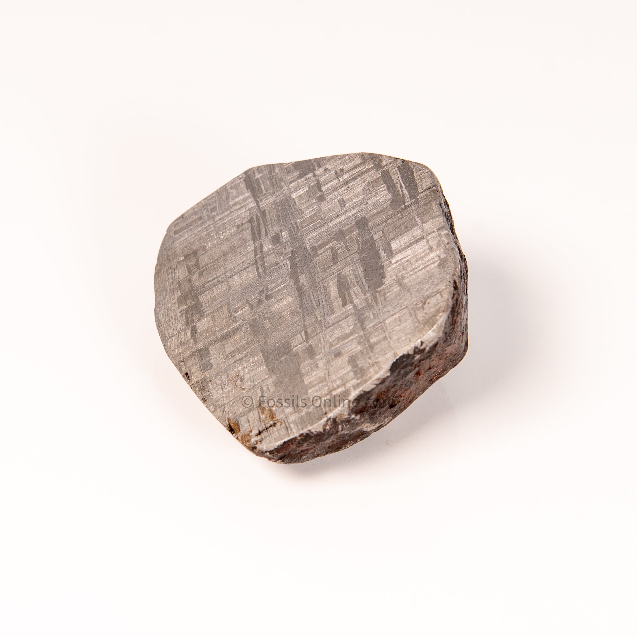 Muonionalusta Meteorite End Cut 224gr