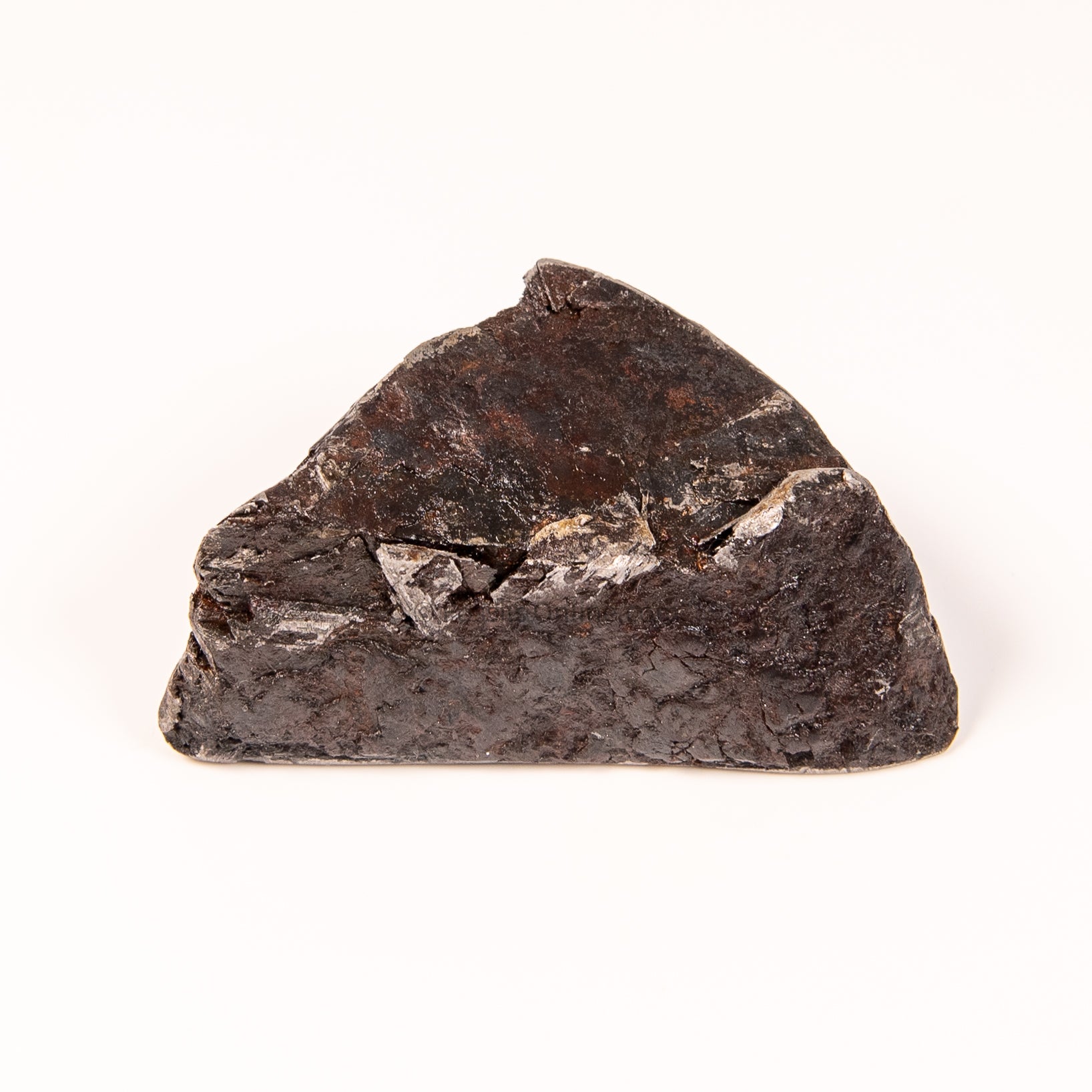 Muonionalusta Meteorite End Cut 346gr