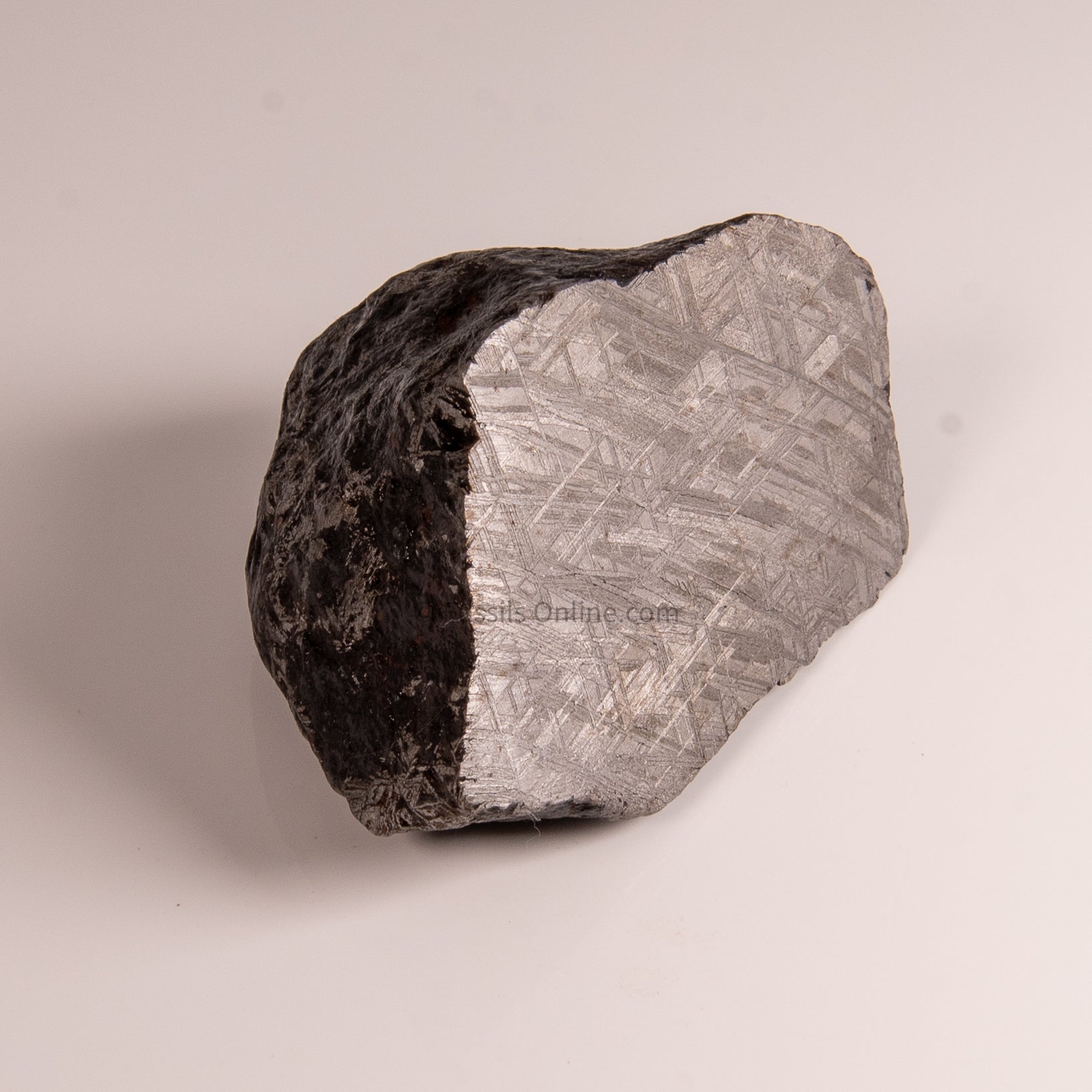 Muonionalusta Meteorite End Cut 656gr