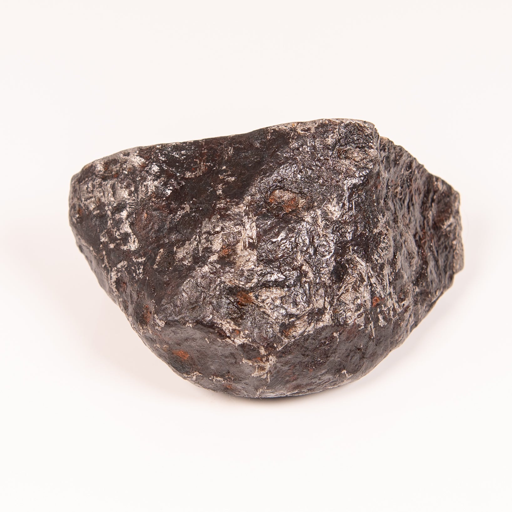 Muonionalusta Meteorite End Cut 656gr