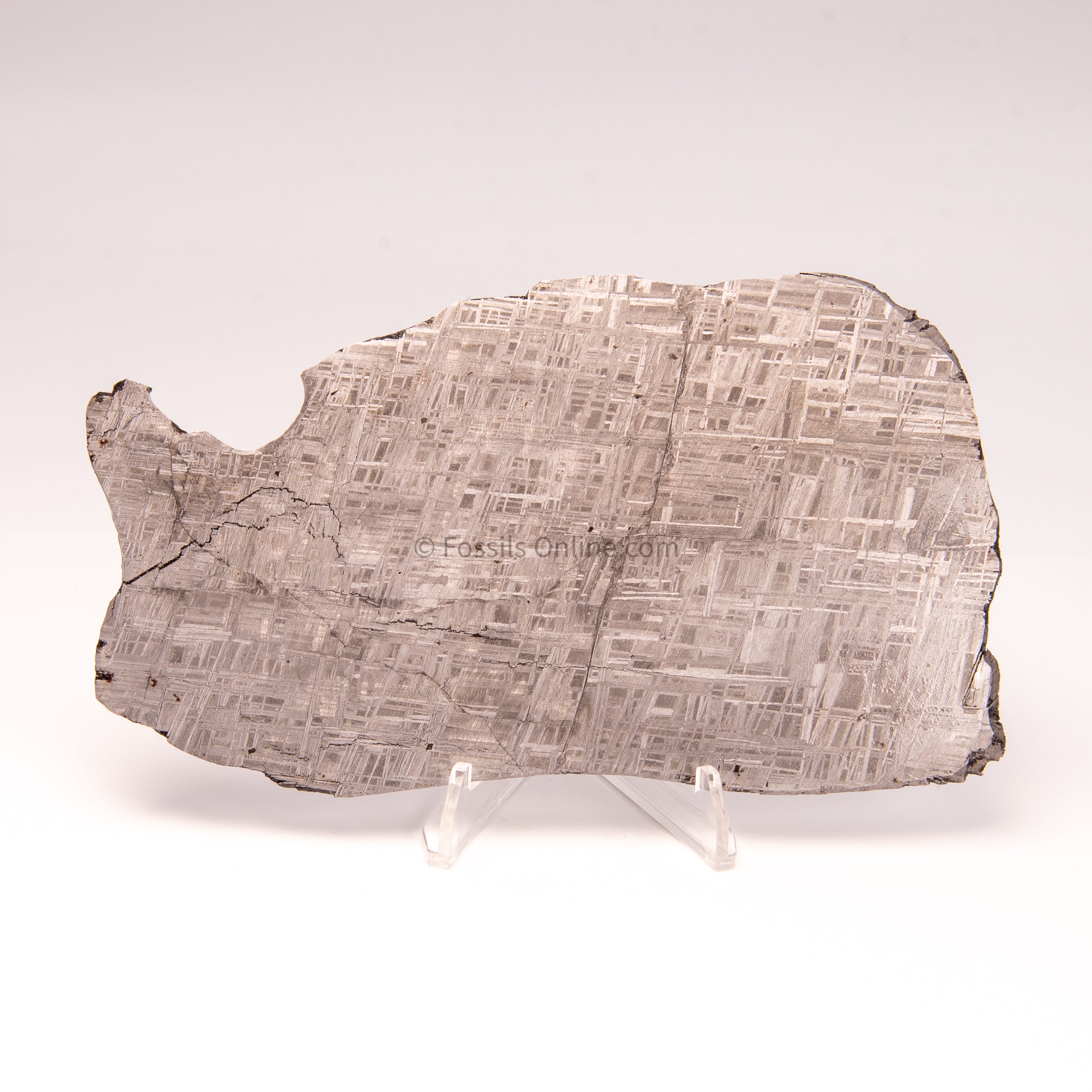 Muonionalusta Meteorite Slice 212gr