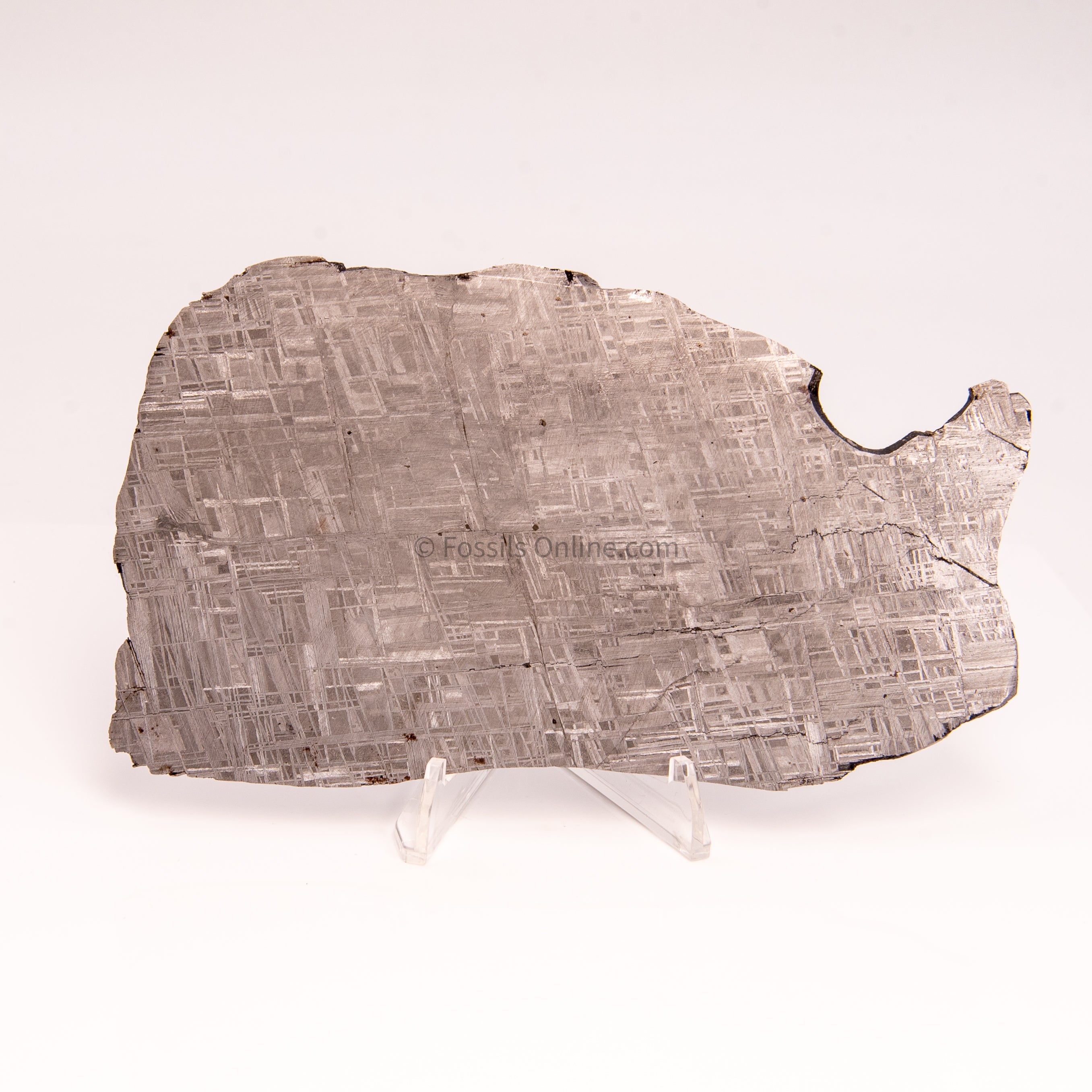 Muonionalusta Meteorite Slice 212gr