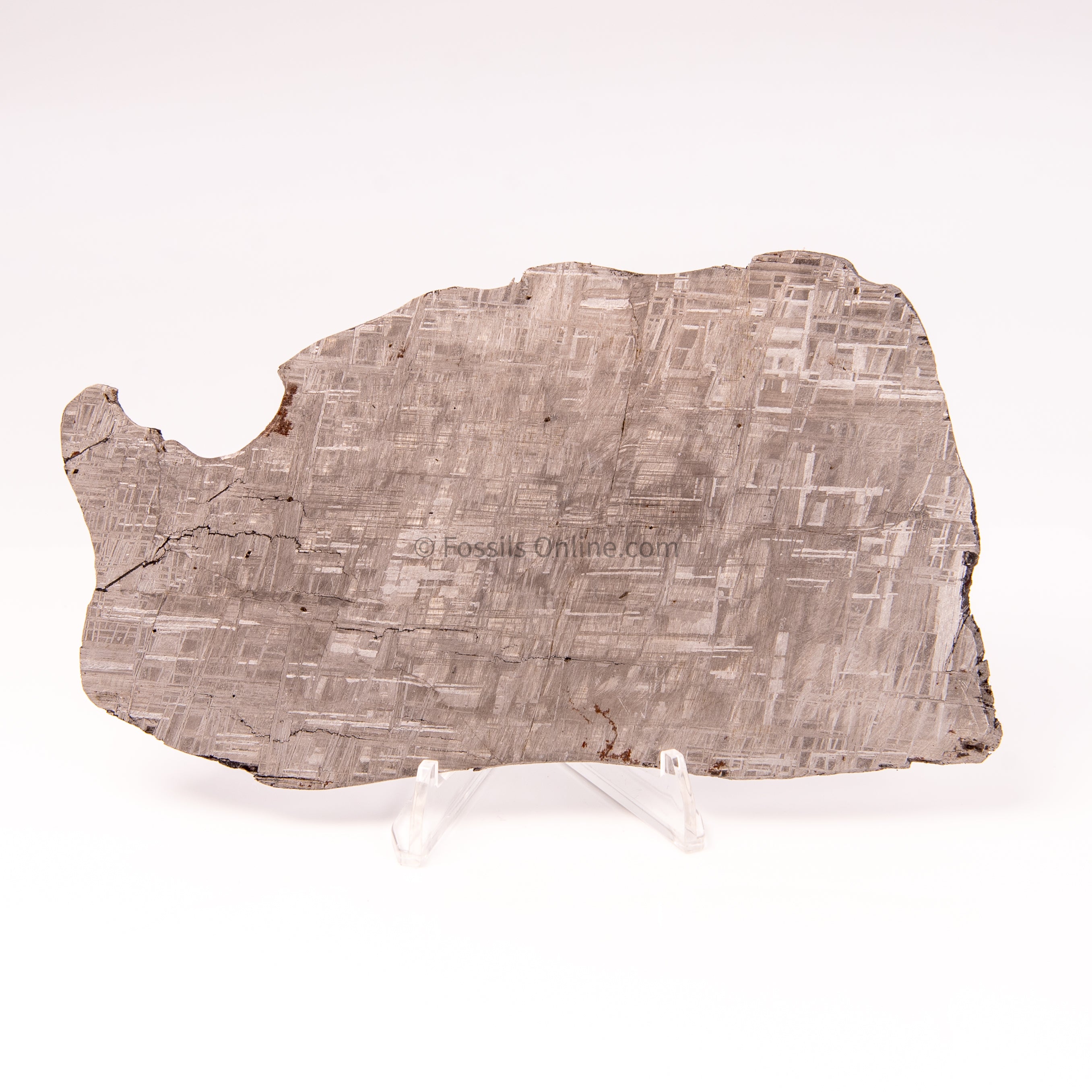 Muonionalusta Meteorite Slice 214gr