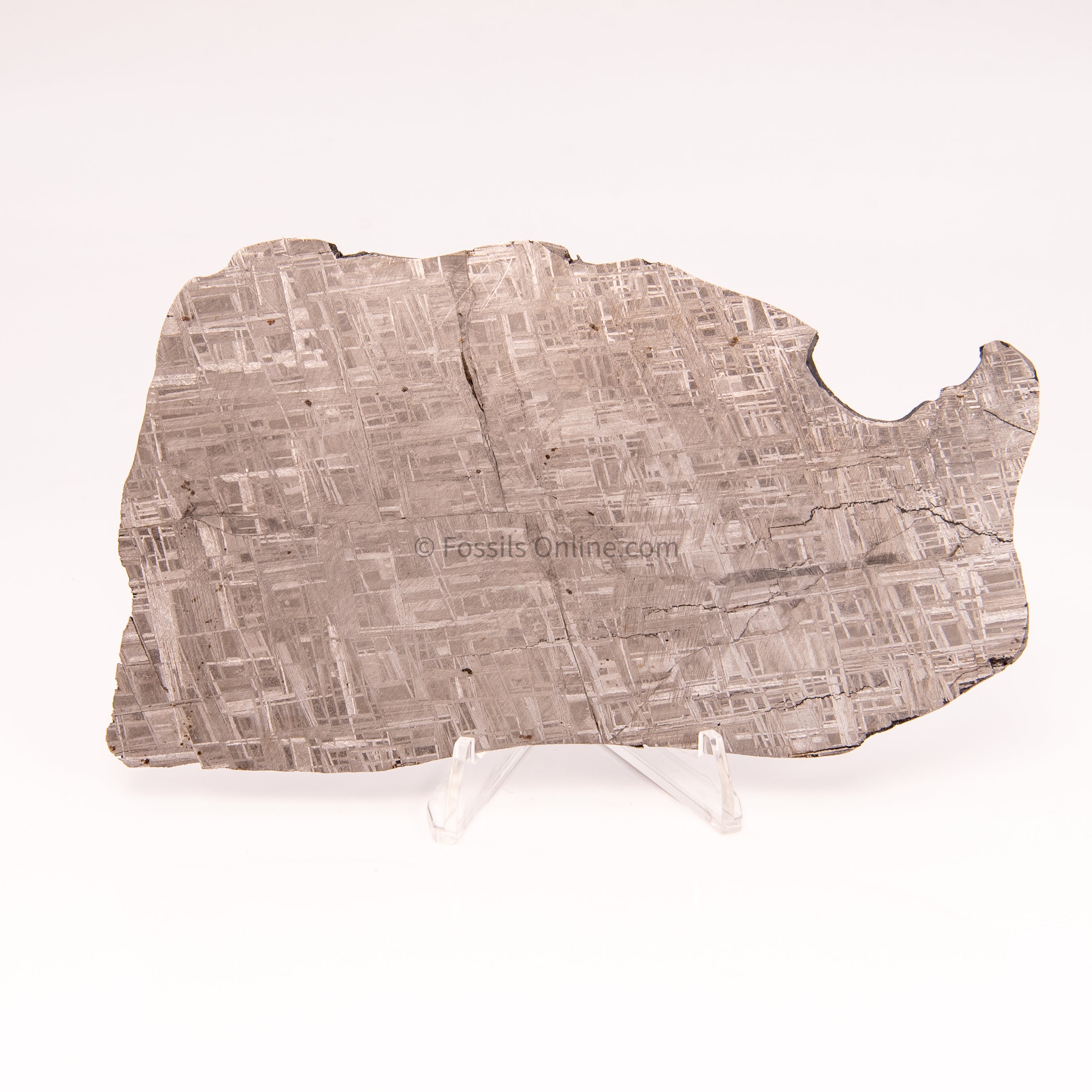 Muonionalusta Meteorite Slice 214gr