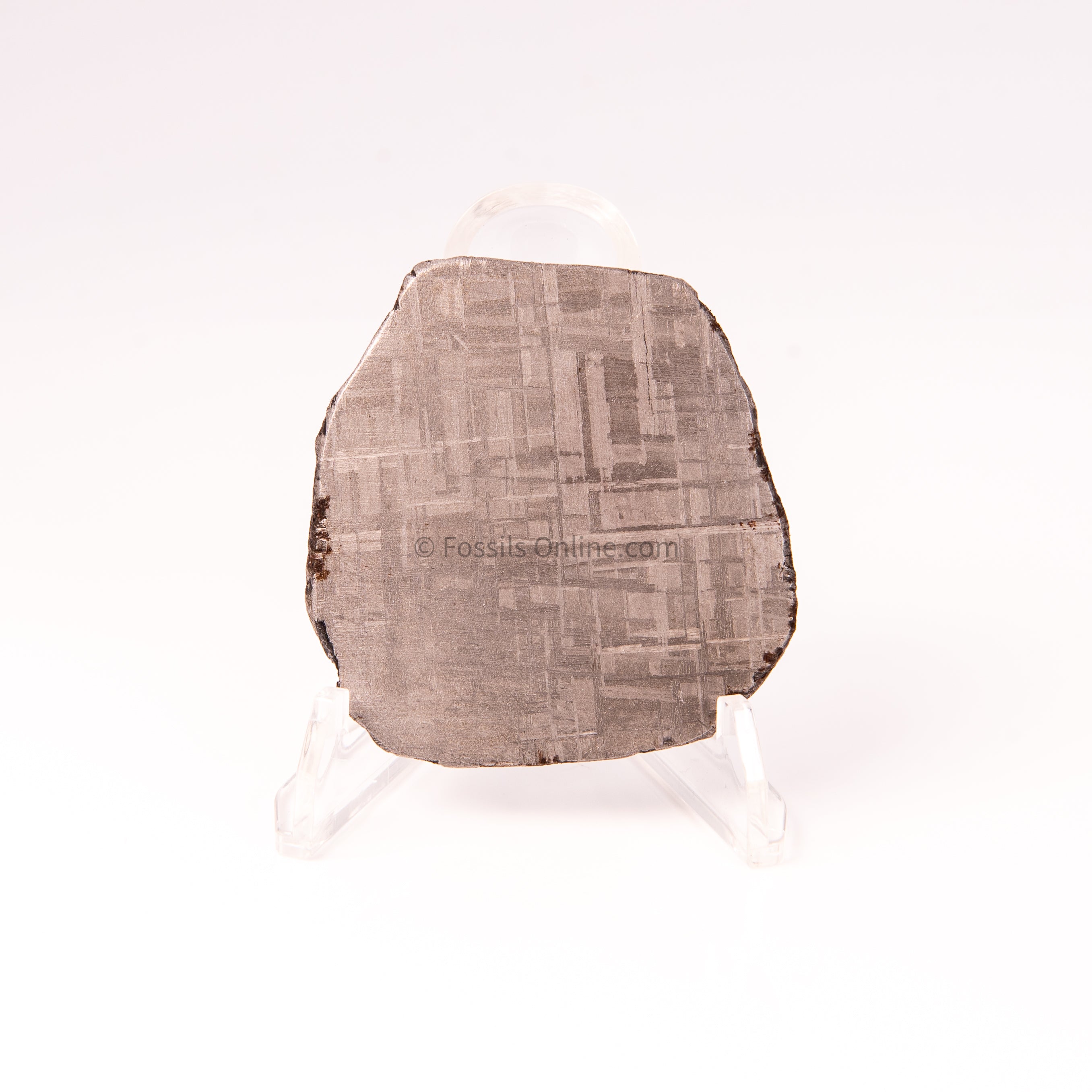 Muonionalusta Meteorite Slice 66gr