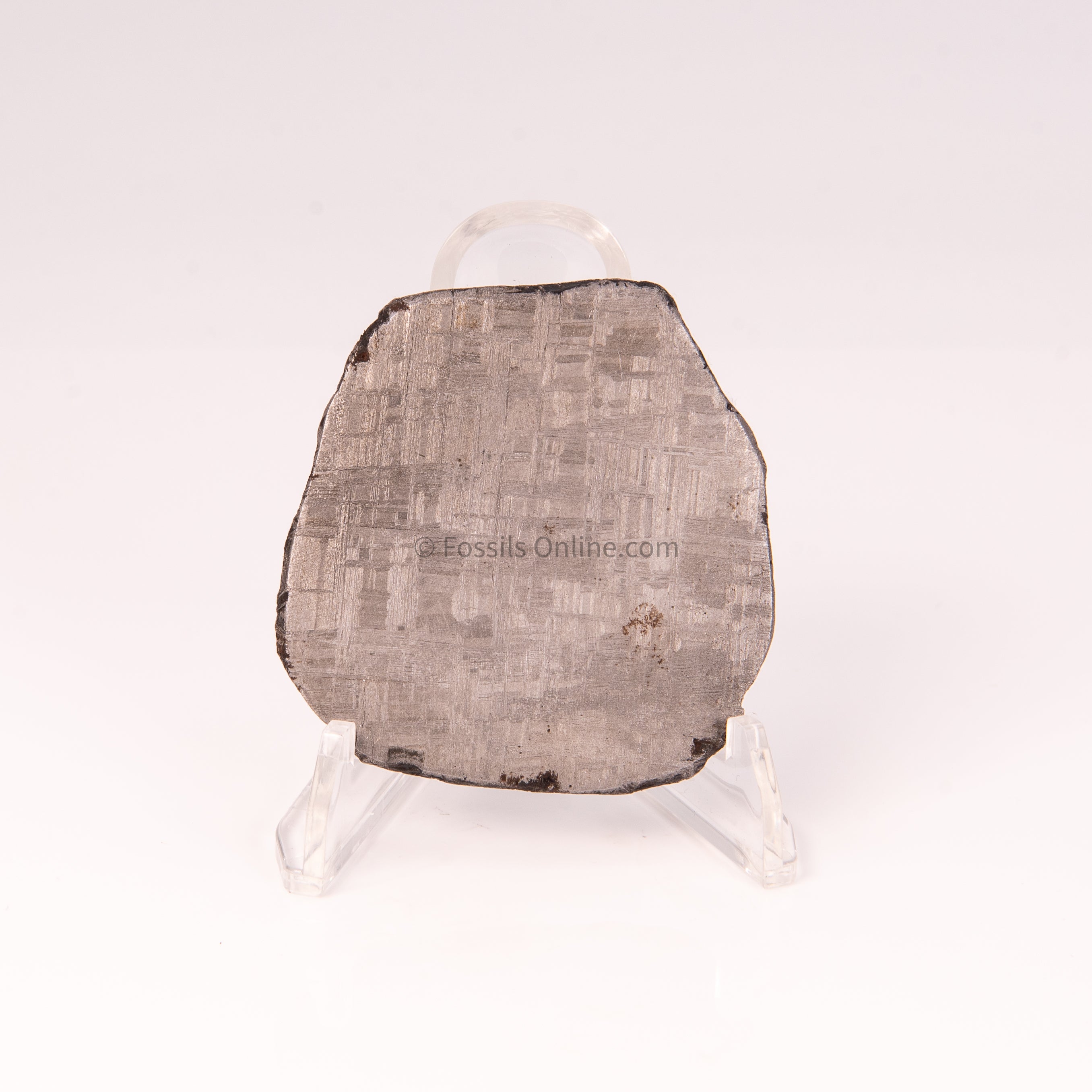 Muonionalusta Meteorite Slice 66gr
